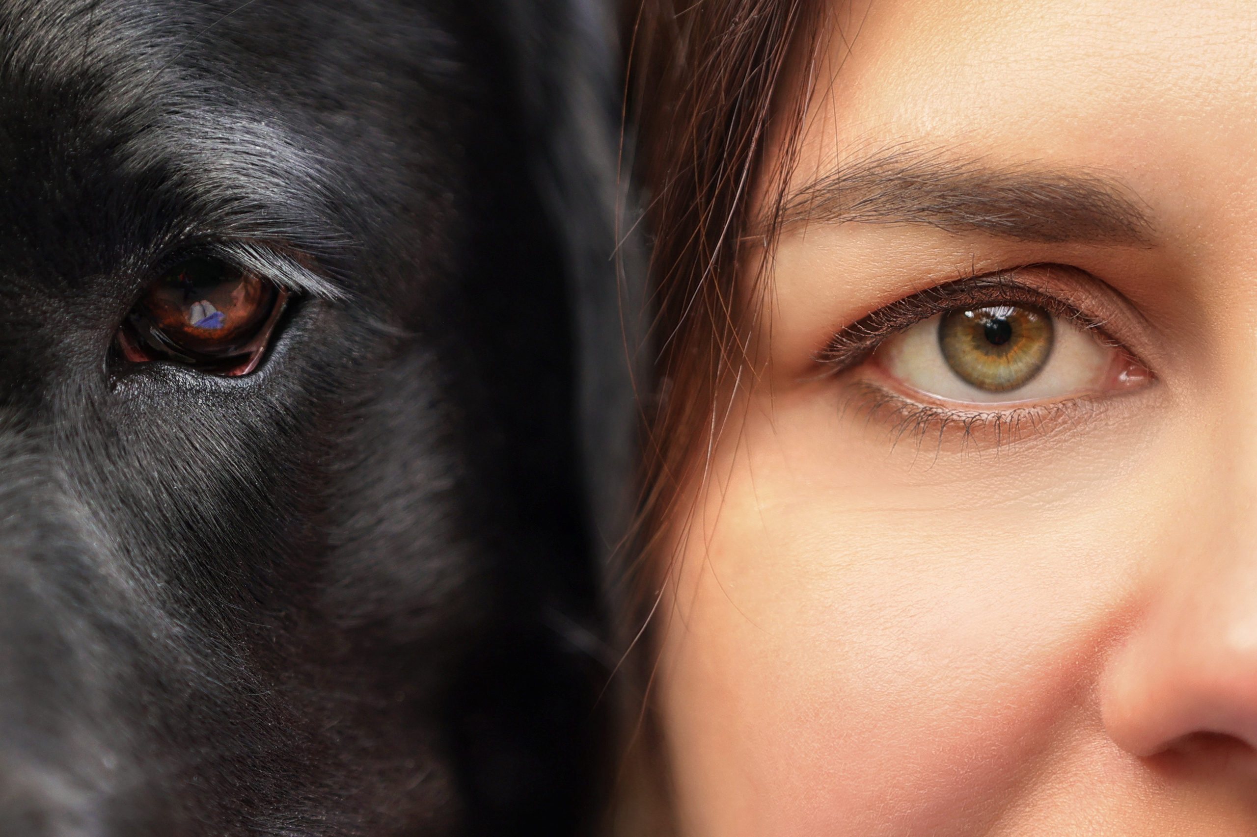 С глазу на глаз. Семейный фотограф-анималист Ирина Андреева