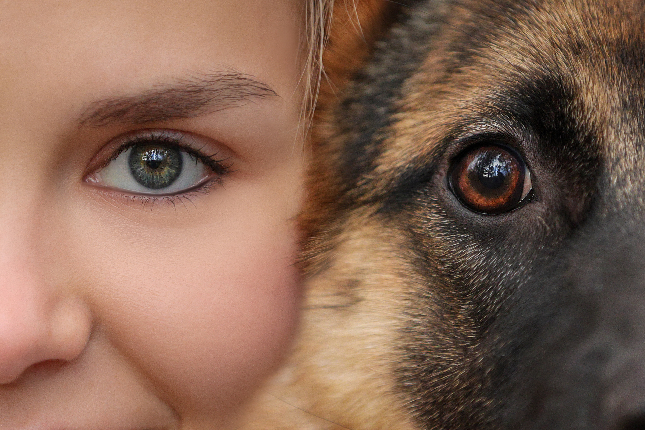 С глазу на глаз. Семейный фотограф-анималист Ирина Андреева