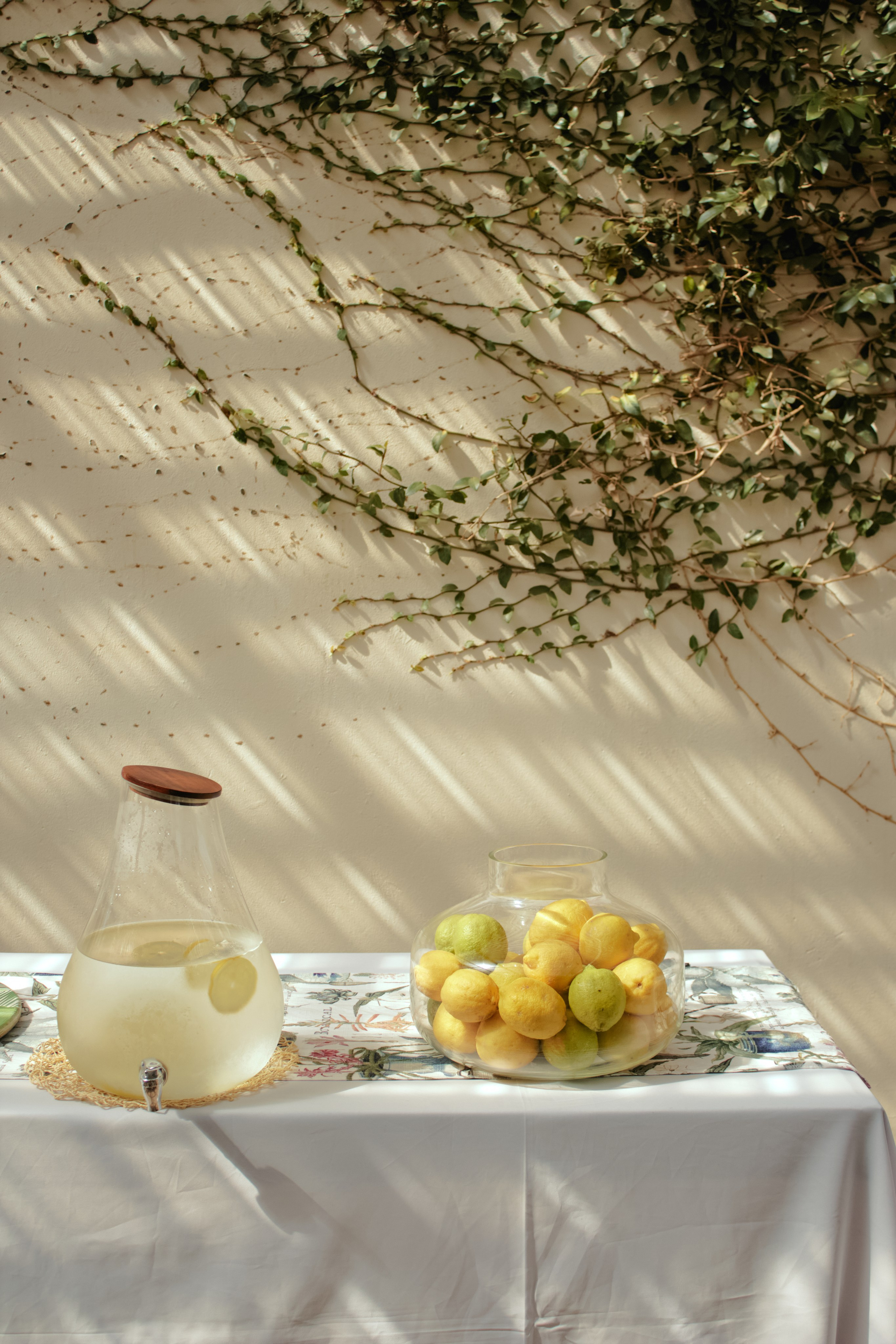 ЮАР. Профессиональный Фотограф во Владимире, в Москве и в Суздале — Полина Романычева