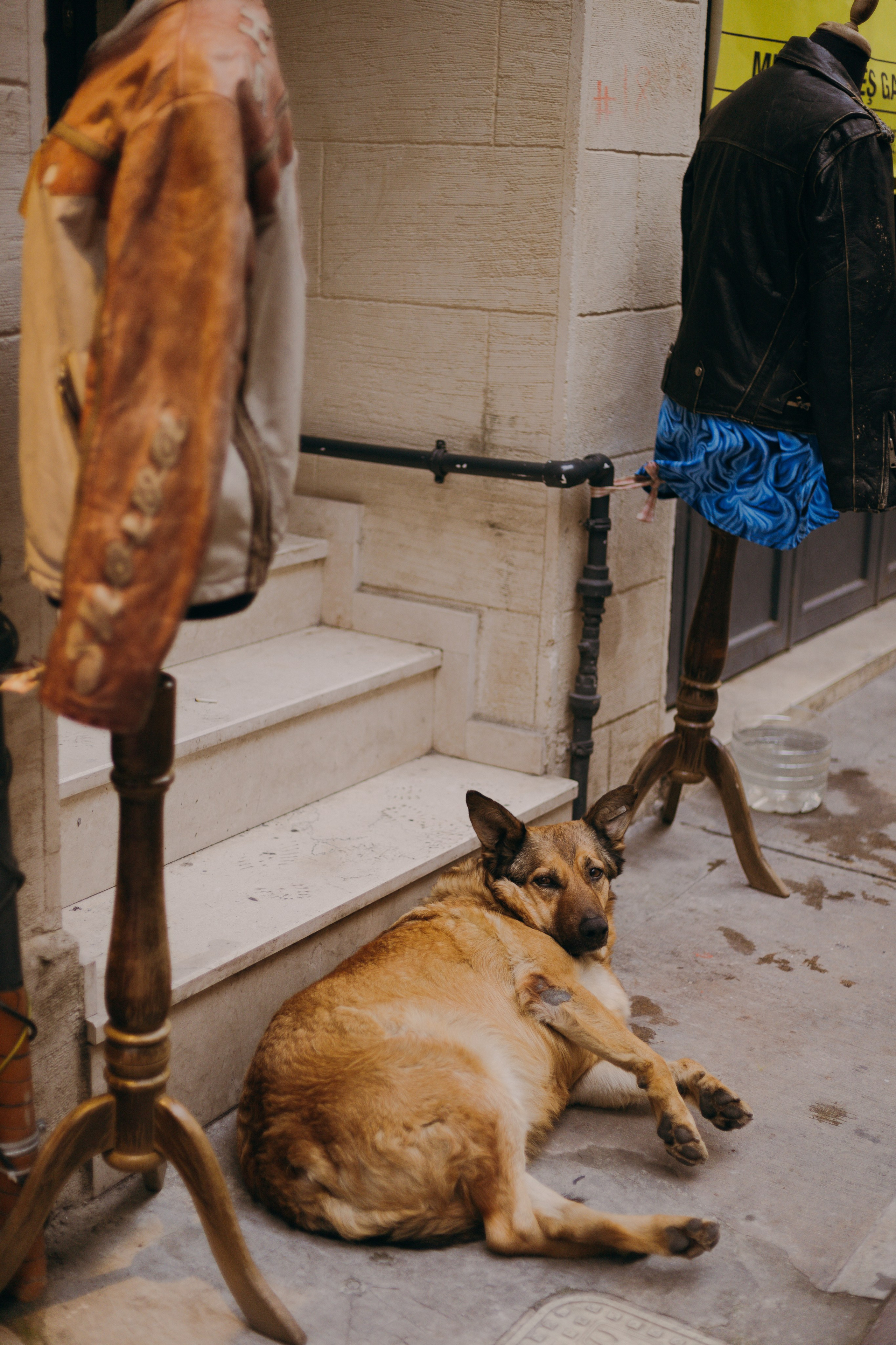 Стамбул. Профессиональный Фотограф во Владимире, в Москве и в Суздале — Полина Романычева