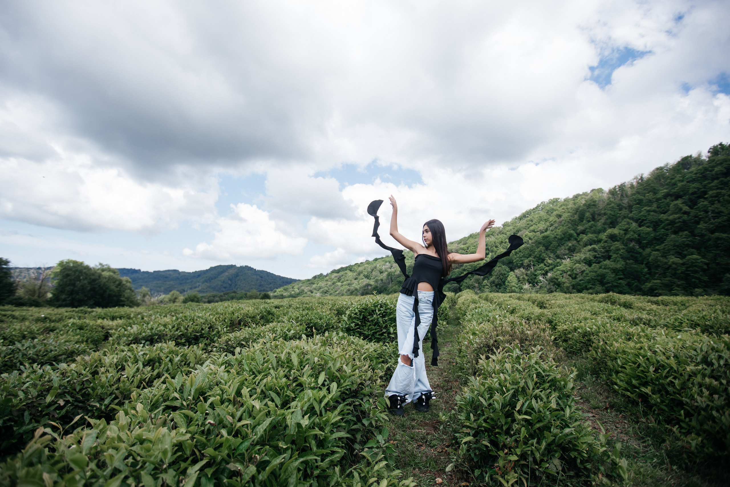 Tea plantation. Efimova Model Agency