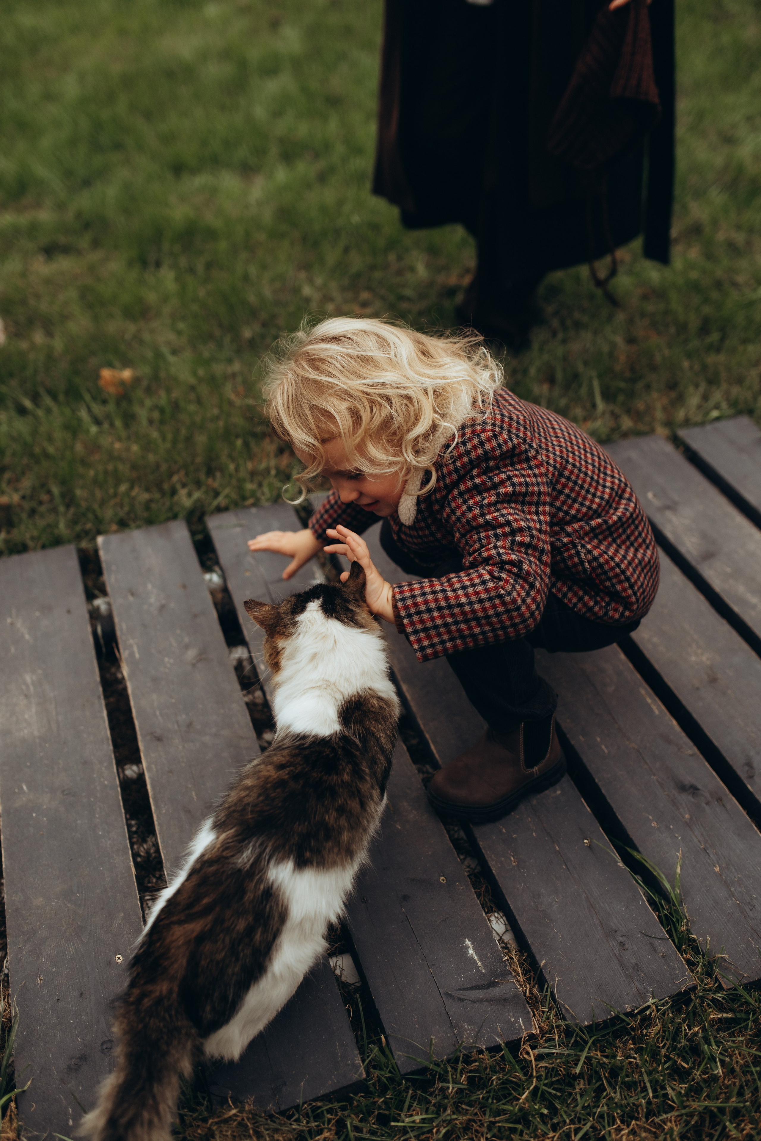 Самые дружные!. Свадебный фотограф Анастасия Бударина