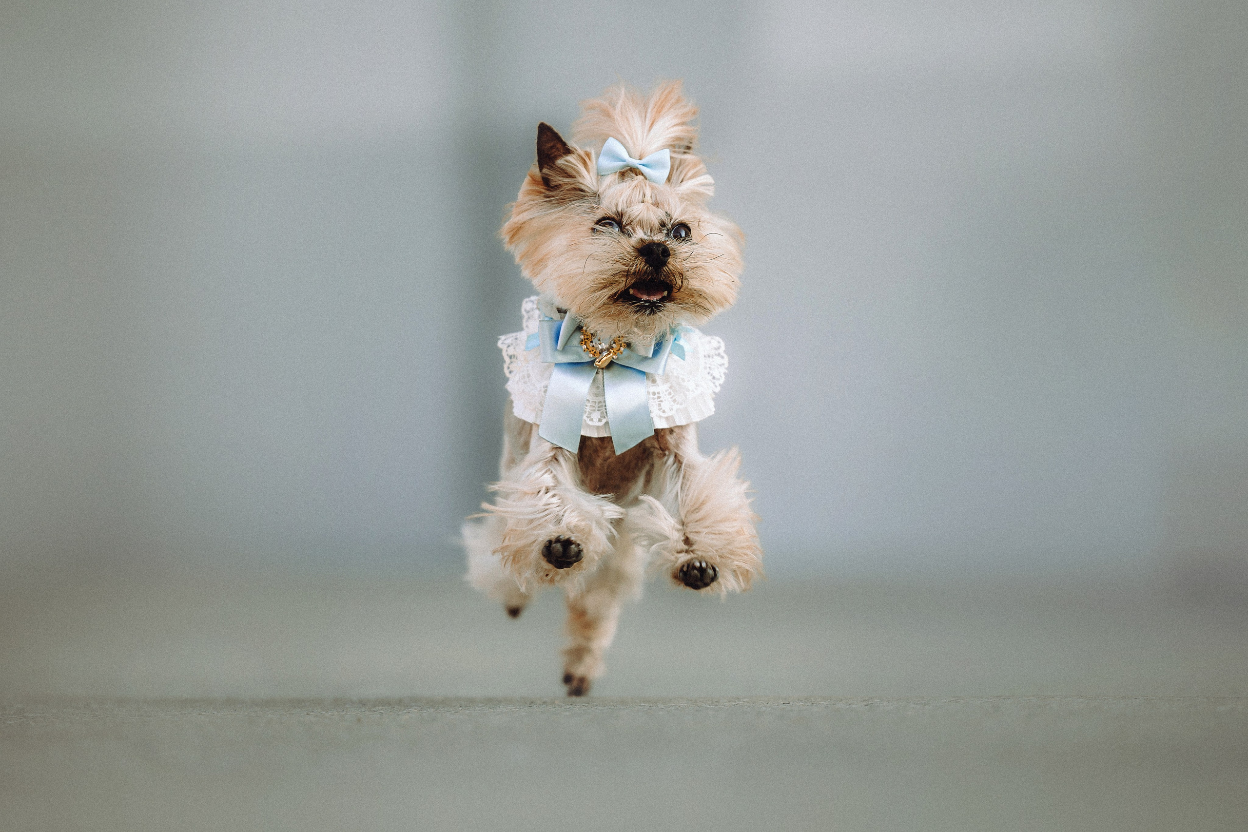 Дженни, Оливия и их семья