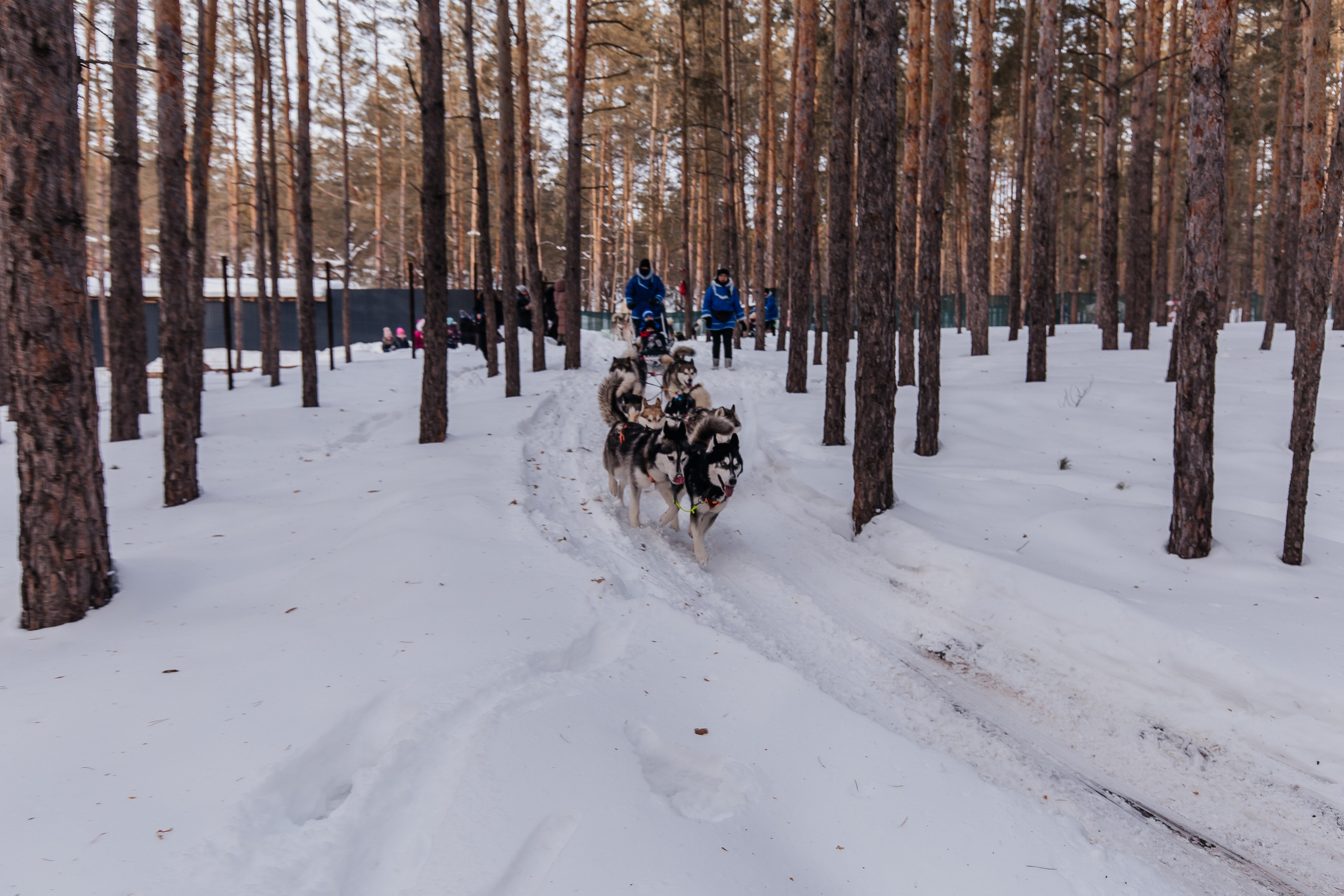 Jaecoo J7 6.0. Фотограф в Самаре / Олеся Широнина