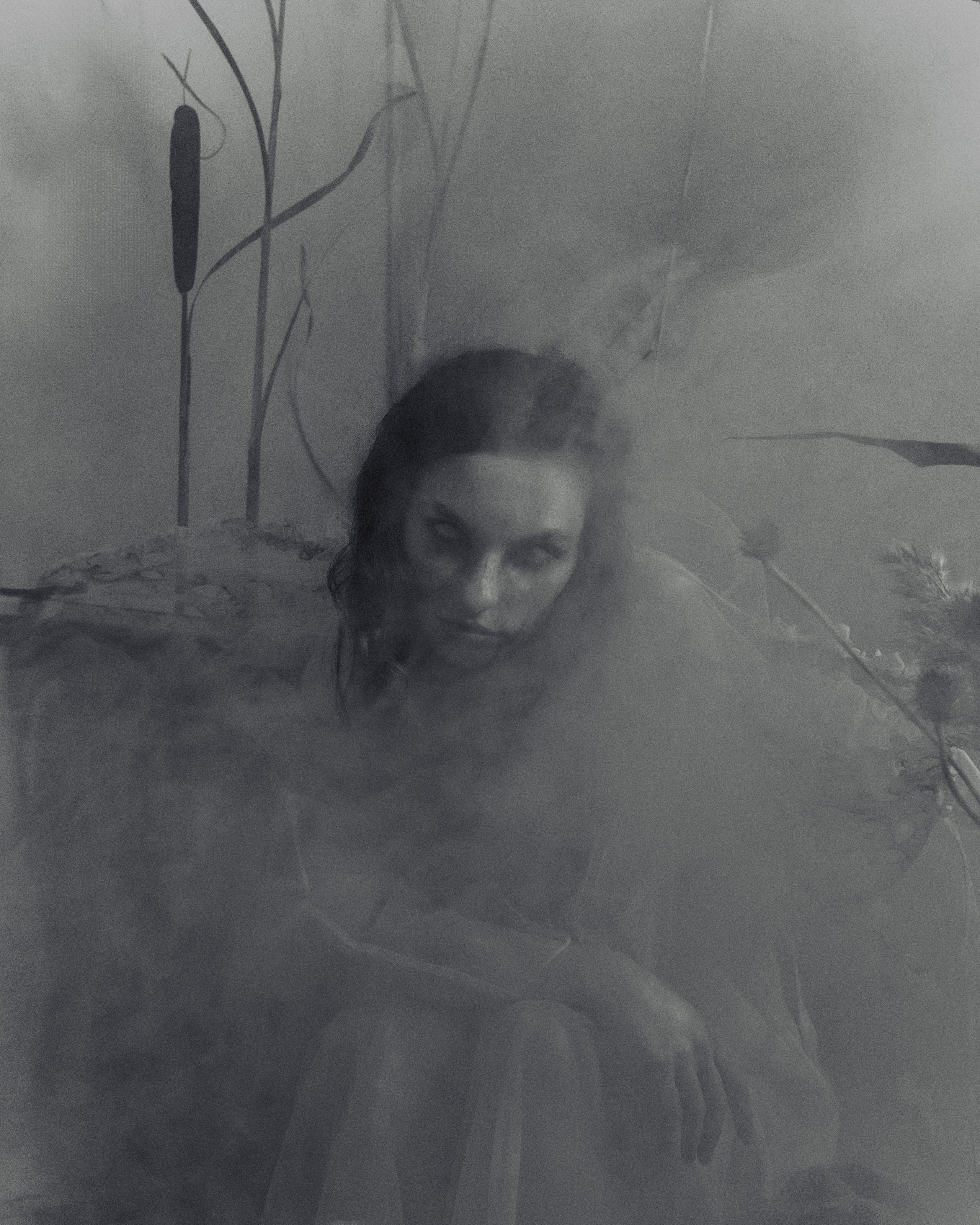 Мотылек. Фотограф Anita Mivchas