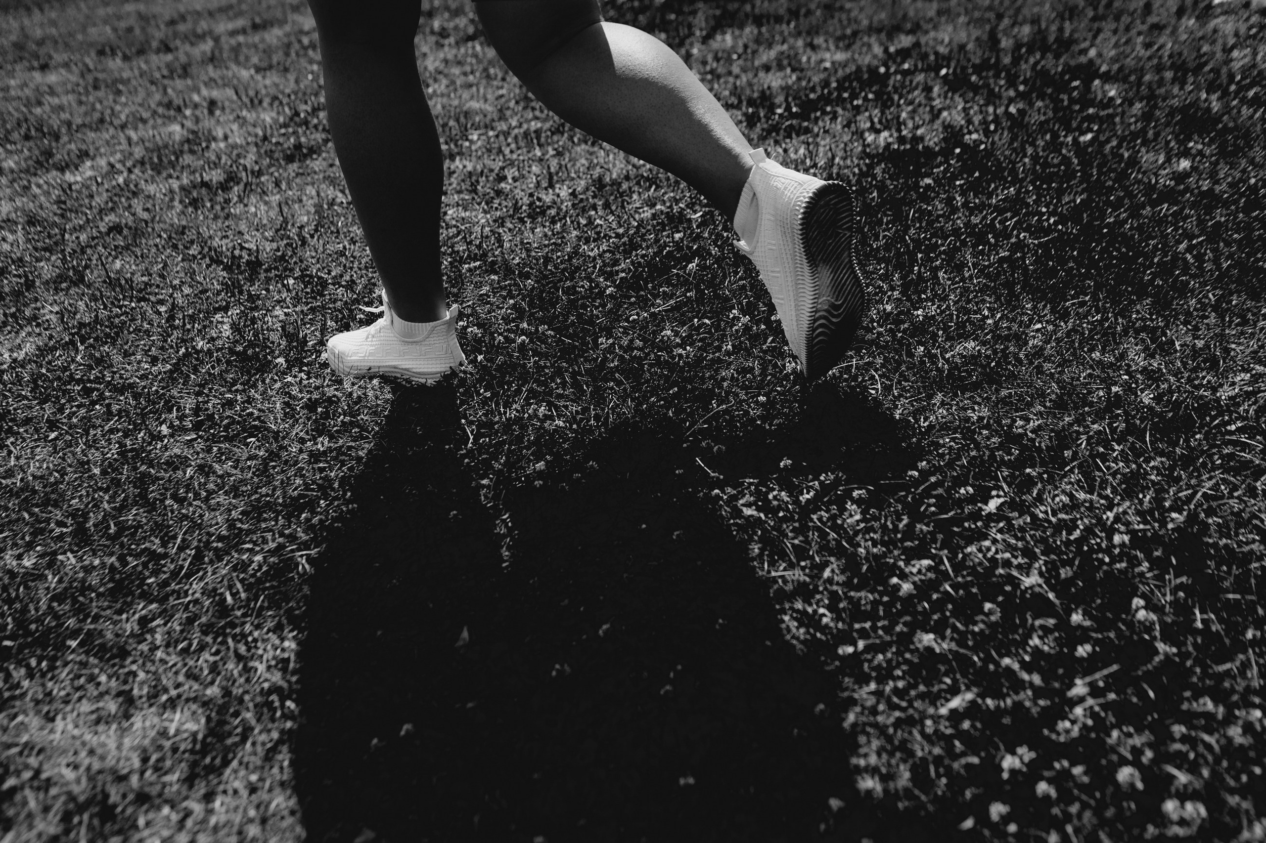 МС груп корпоратив. LEVORIGINAL