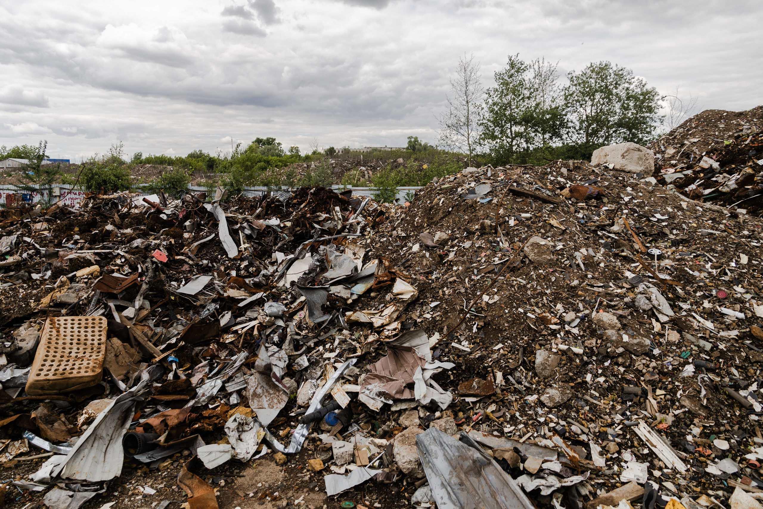 Открытый мир. DASHA KALNINA