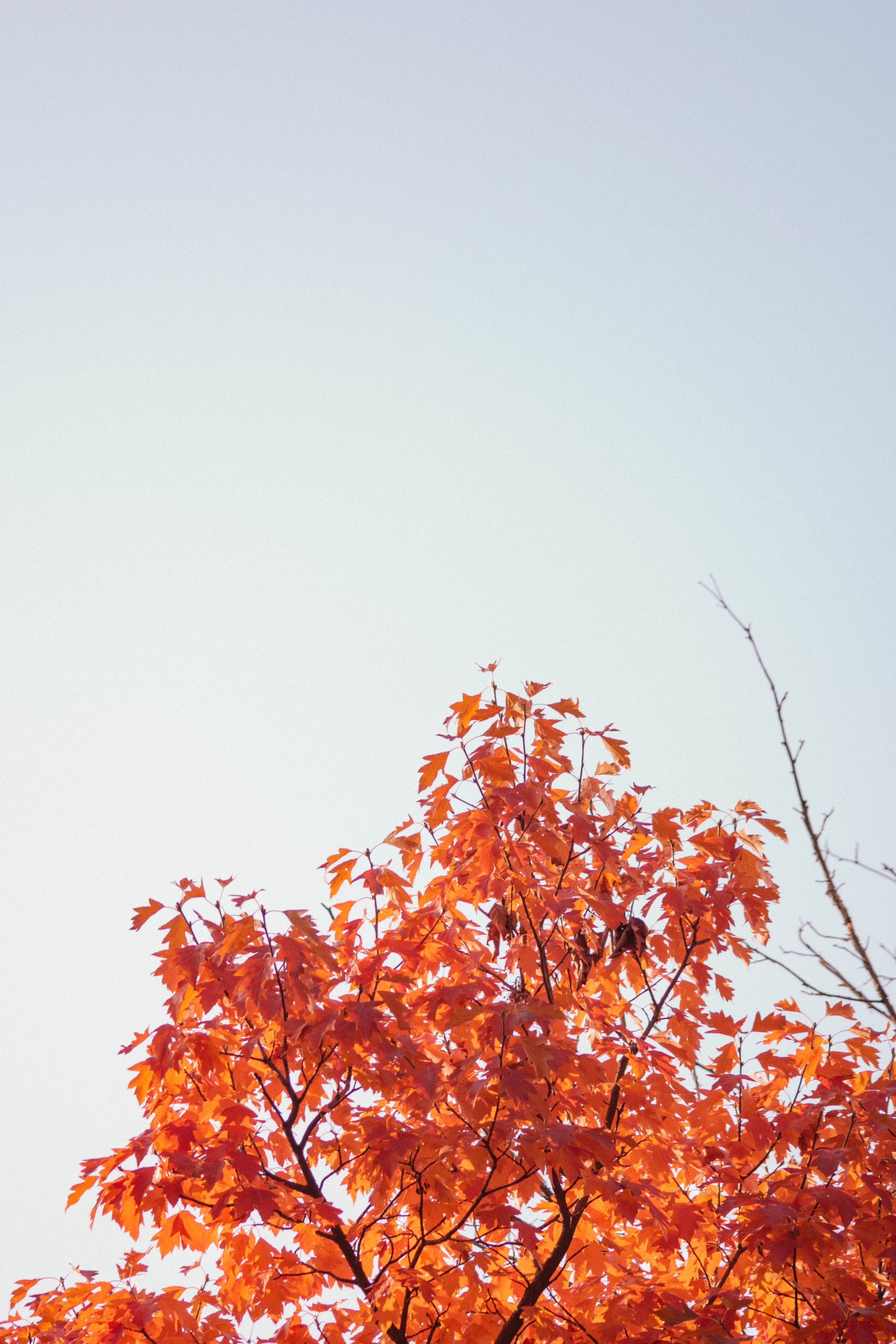Визуальный дневник. Репортажный фотограф в Алматы Цой Сергей