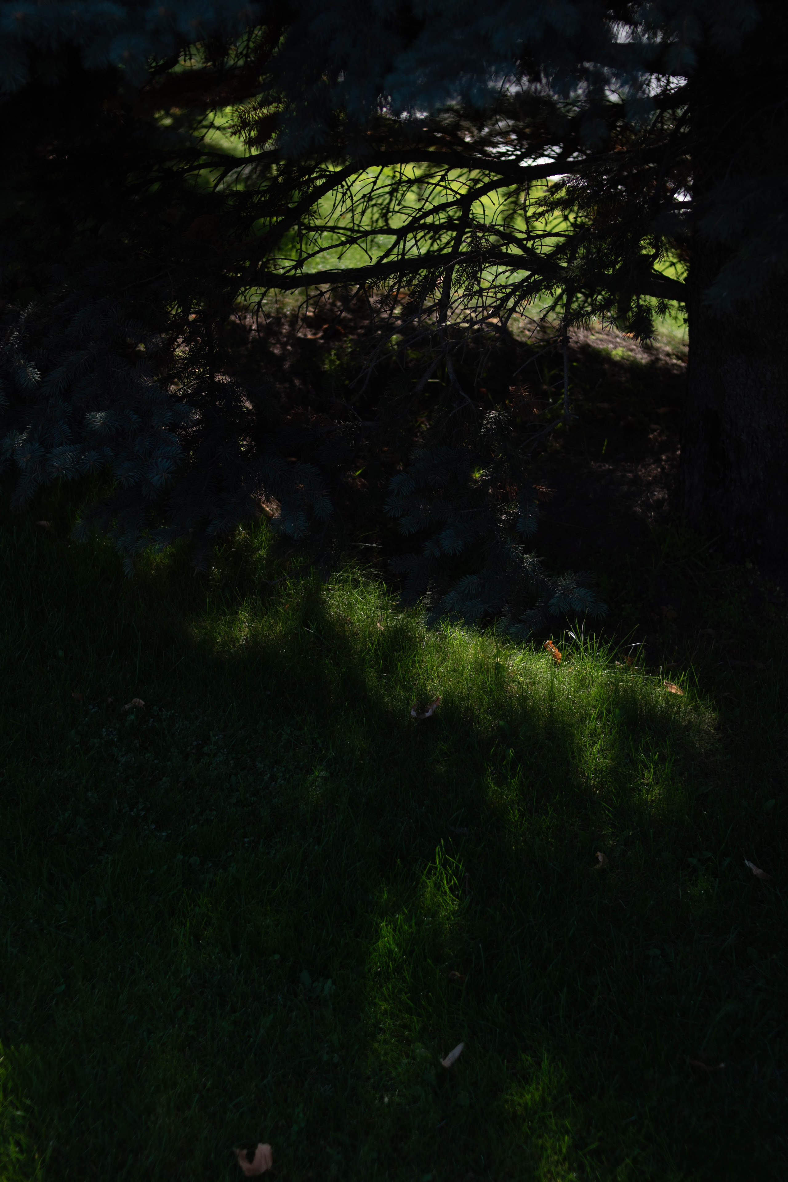 Визуальный дневник. Репортажный фотограф в Алматы Цой Сергей