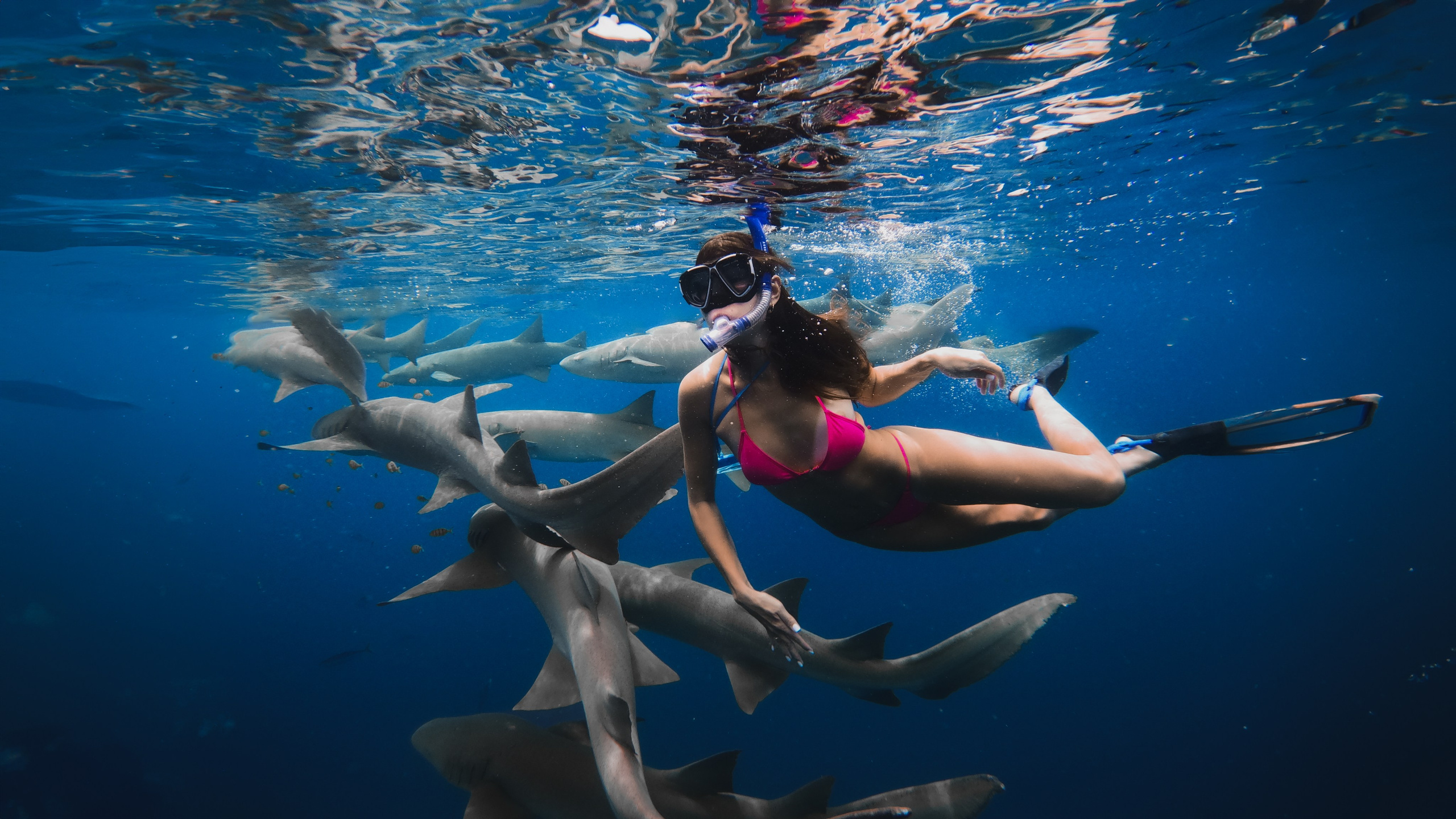 Туристическое агентство на Мальдивах Velaa Trips