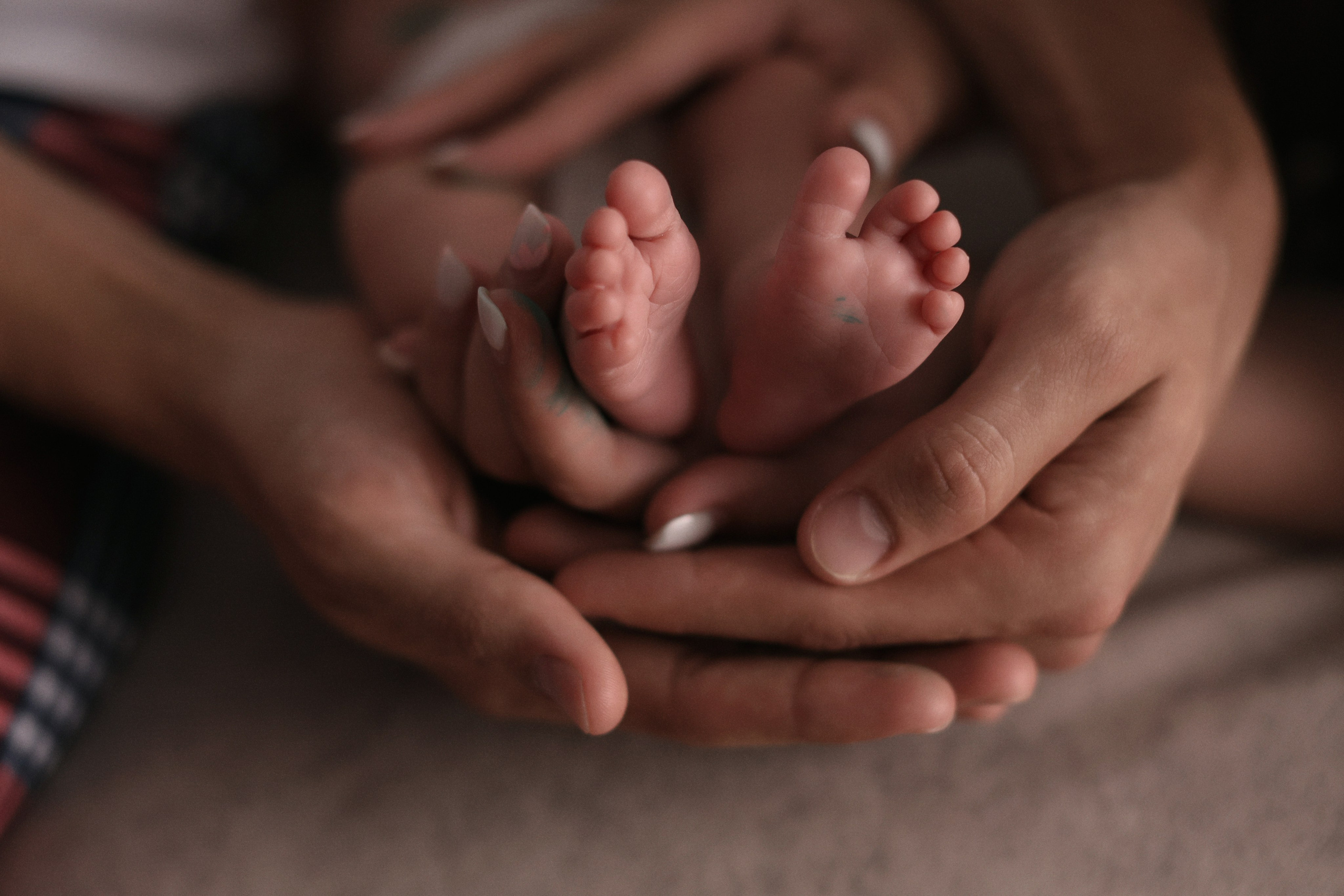 20 дней. Фотограф Москва, Чехов Цыкоза Алина