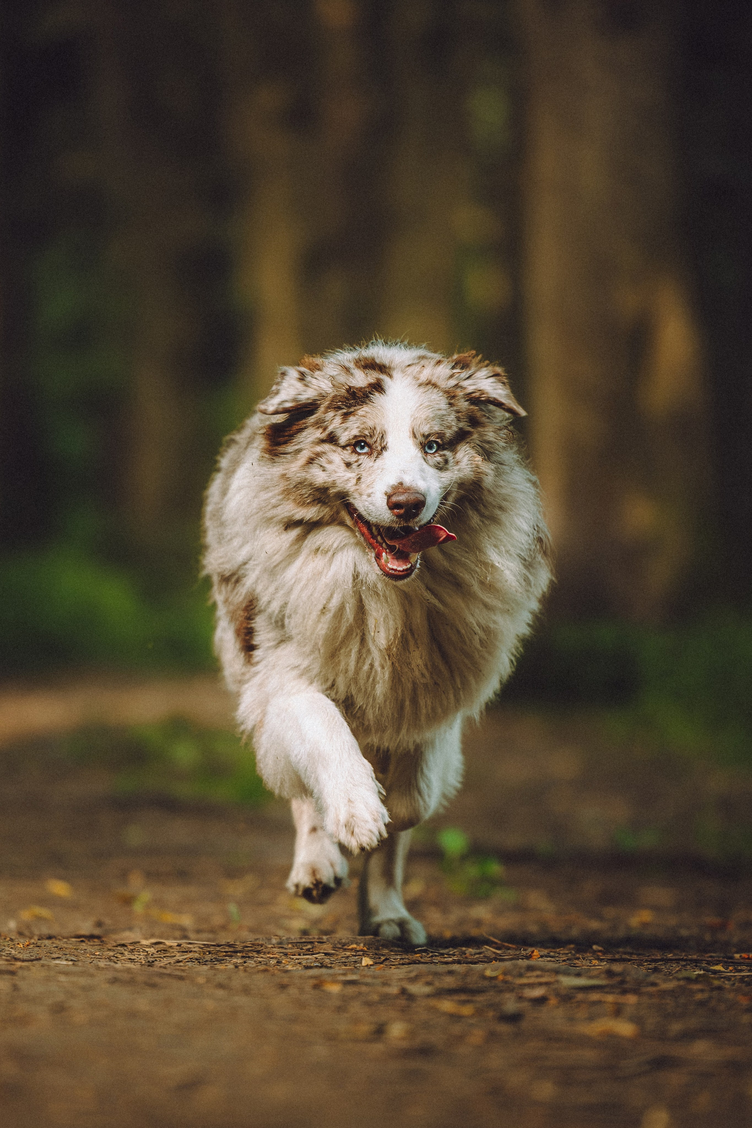 Катя, Андрей, Гектор, Ричи, Тортик и Трой