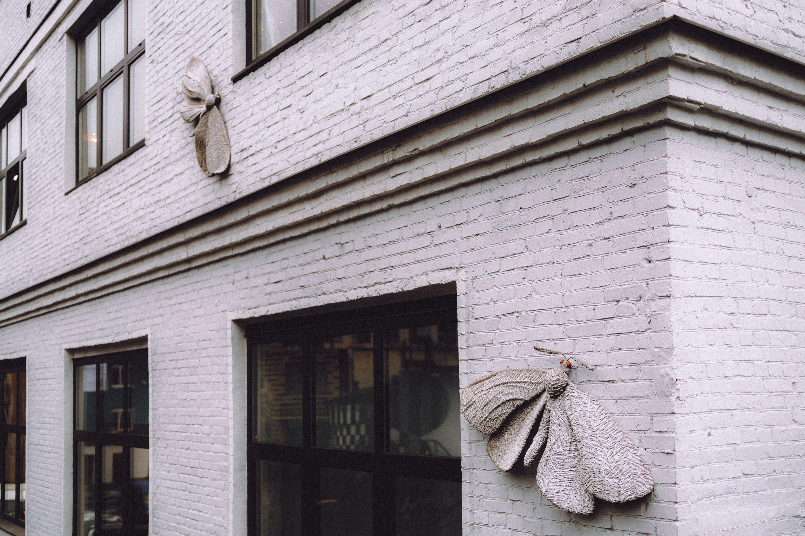 Екатерина и Даня