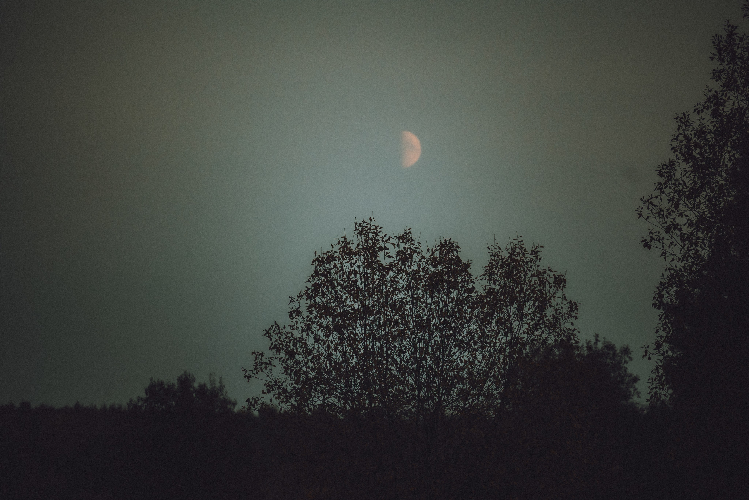 Рик, Джек и их семья