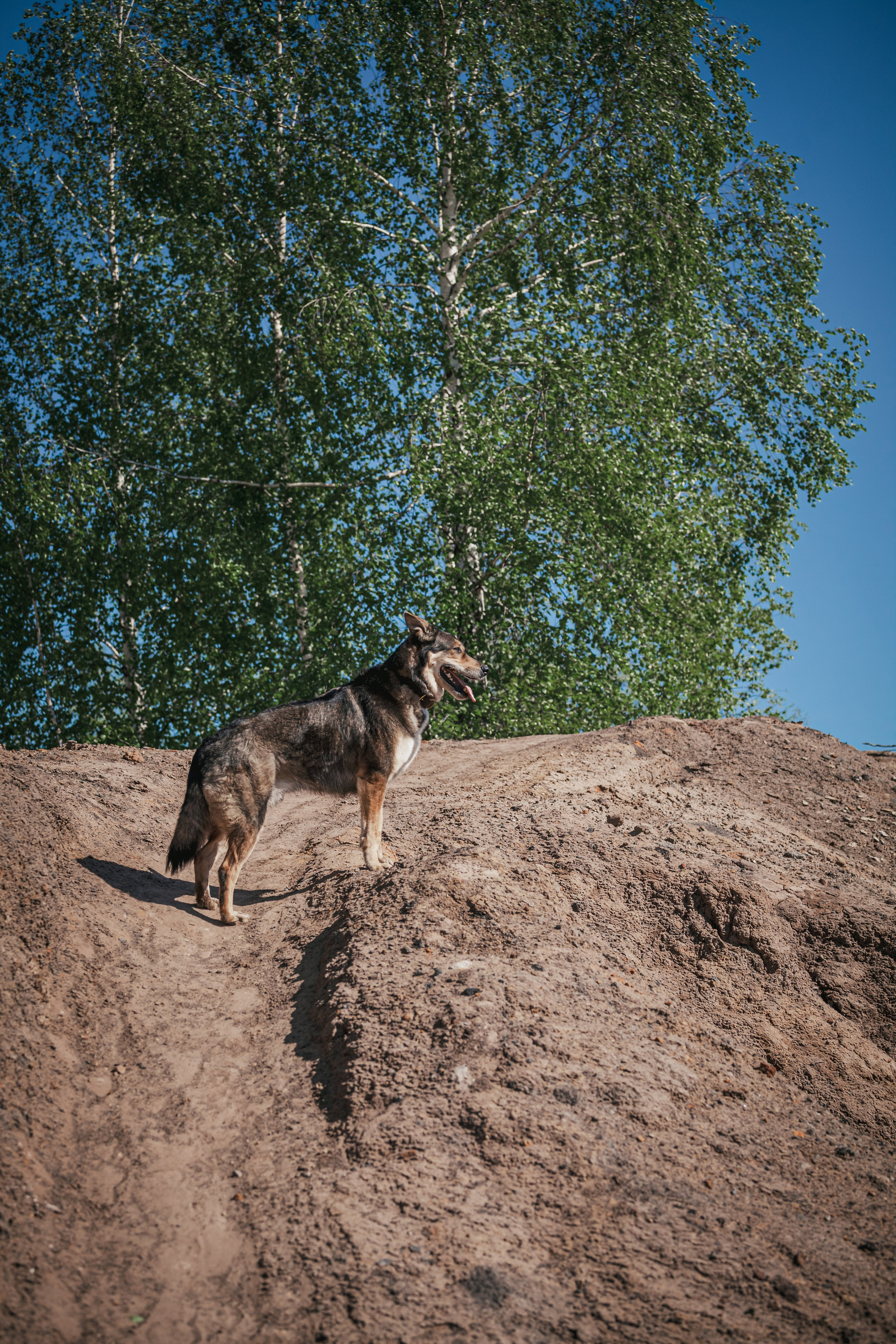 Кондуки. Фотограф-анималист Татьяна Степанова