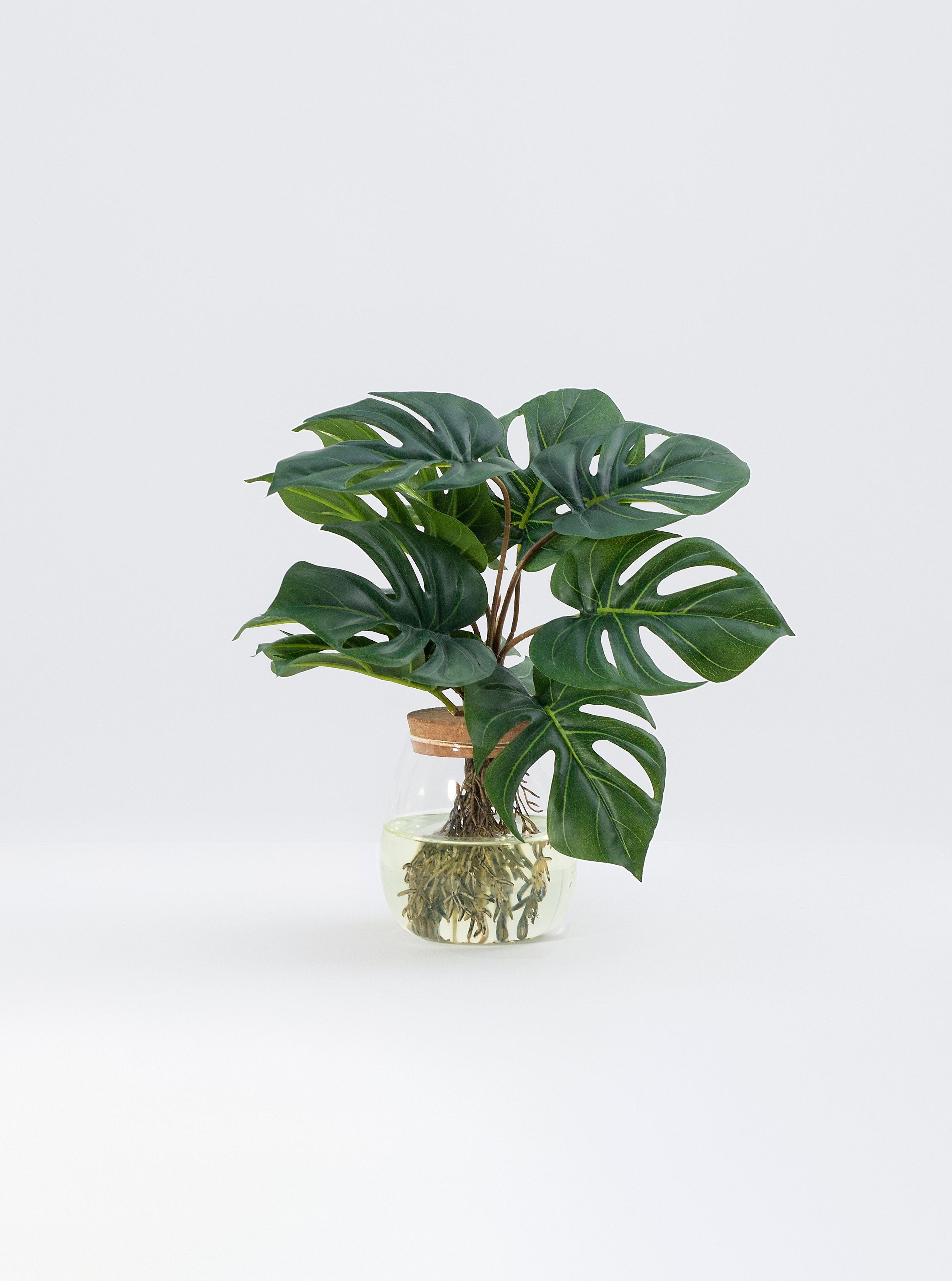 Маркетплейс. Фотограф Пушкино и Москва Анастасия Коган