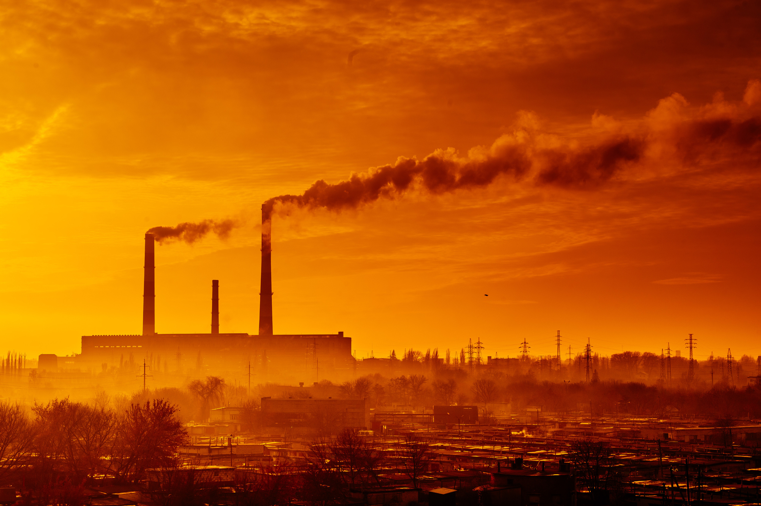 Репортажный и свадебный фотограф в Курске Борис Захарчук