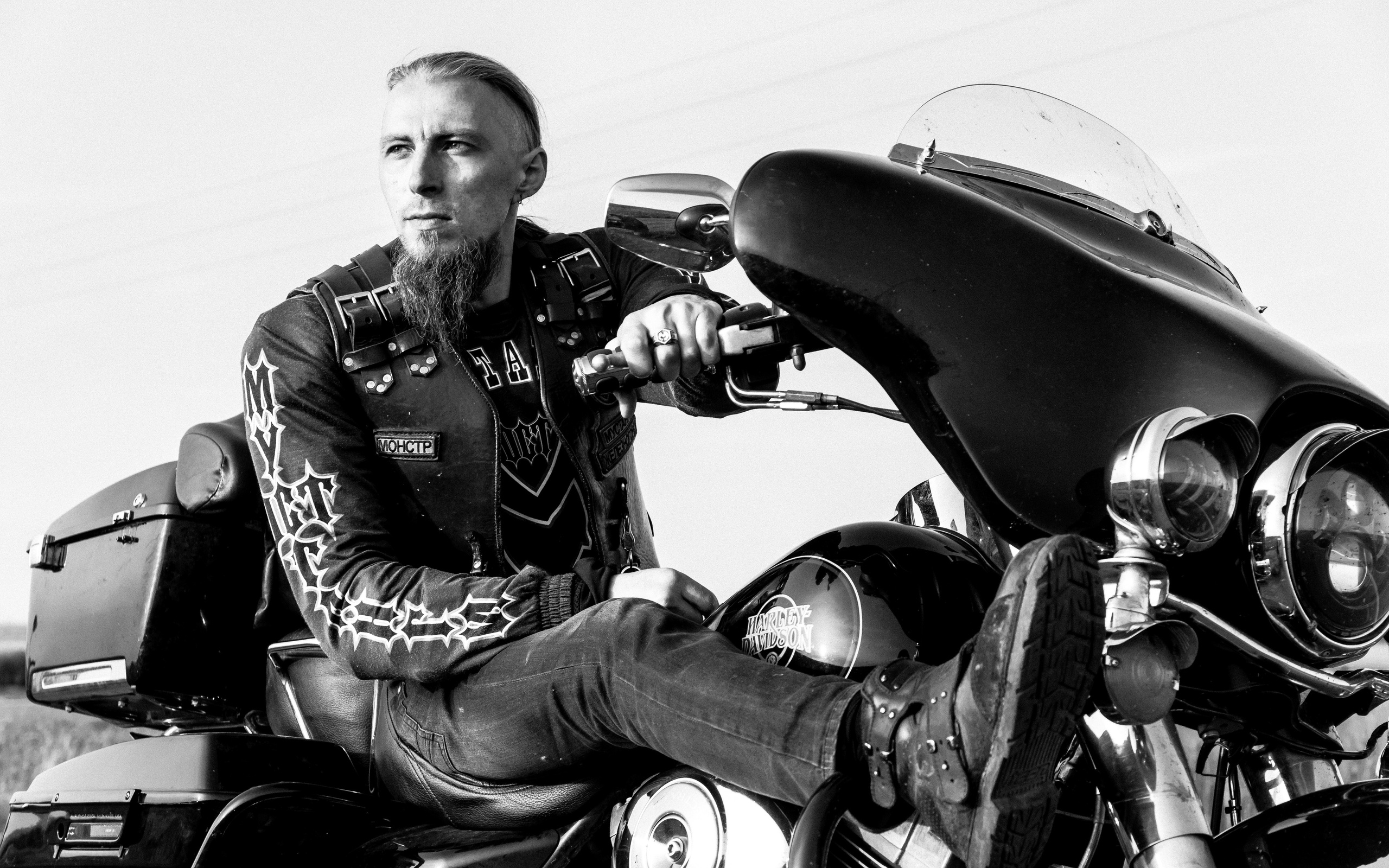 Мустанги ОСТ. Репортажный и свадебный фотограф в Курске Борис Захарчук