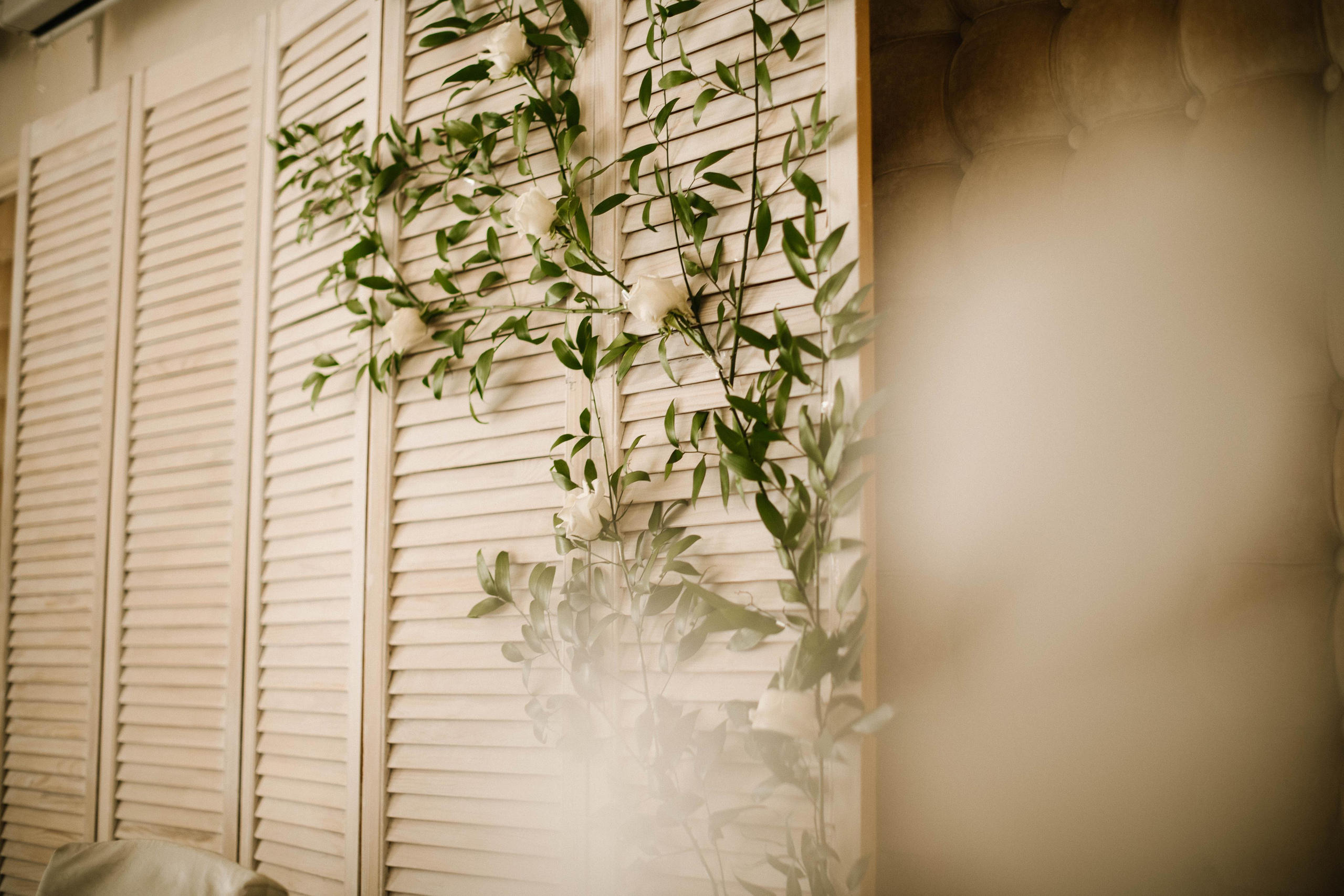 Свадьба летняя. Фотограф Катерина. Кипр