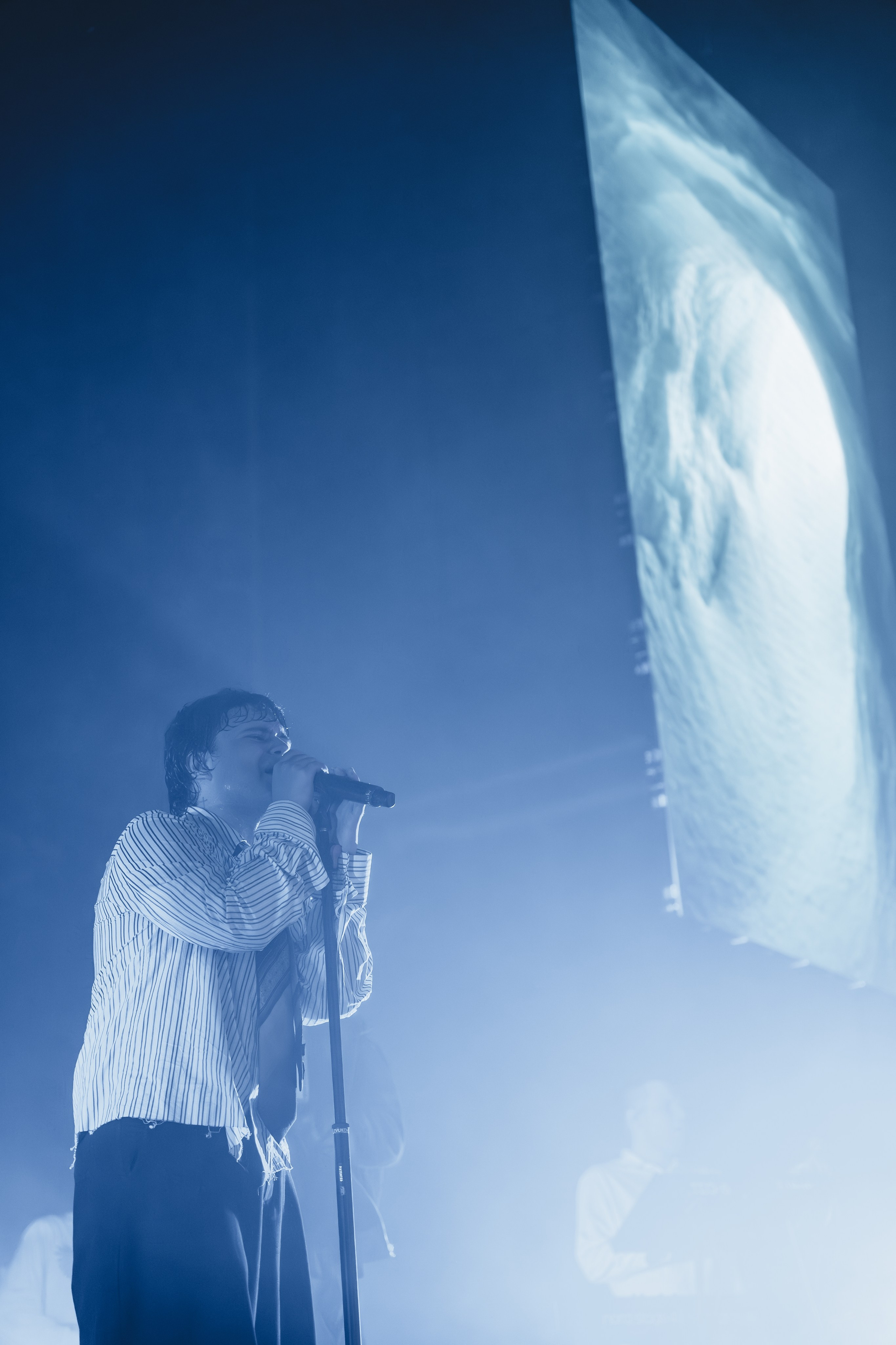 SALUKI. Фотограф Санкт-Петербурга