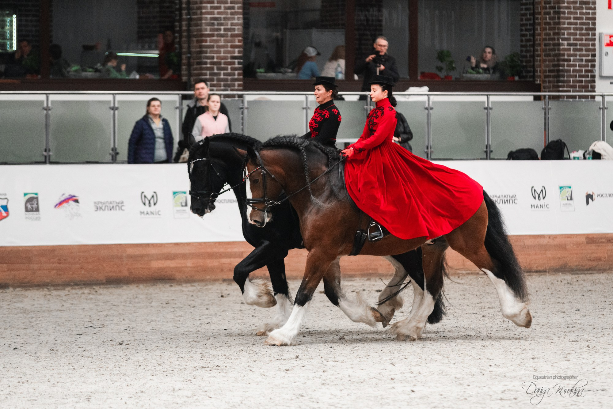 8-я международная выставка Конная Россия. Конный фотограф Куракина Дарья • Фотосессии с лошадьми