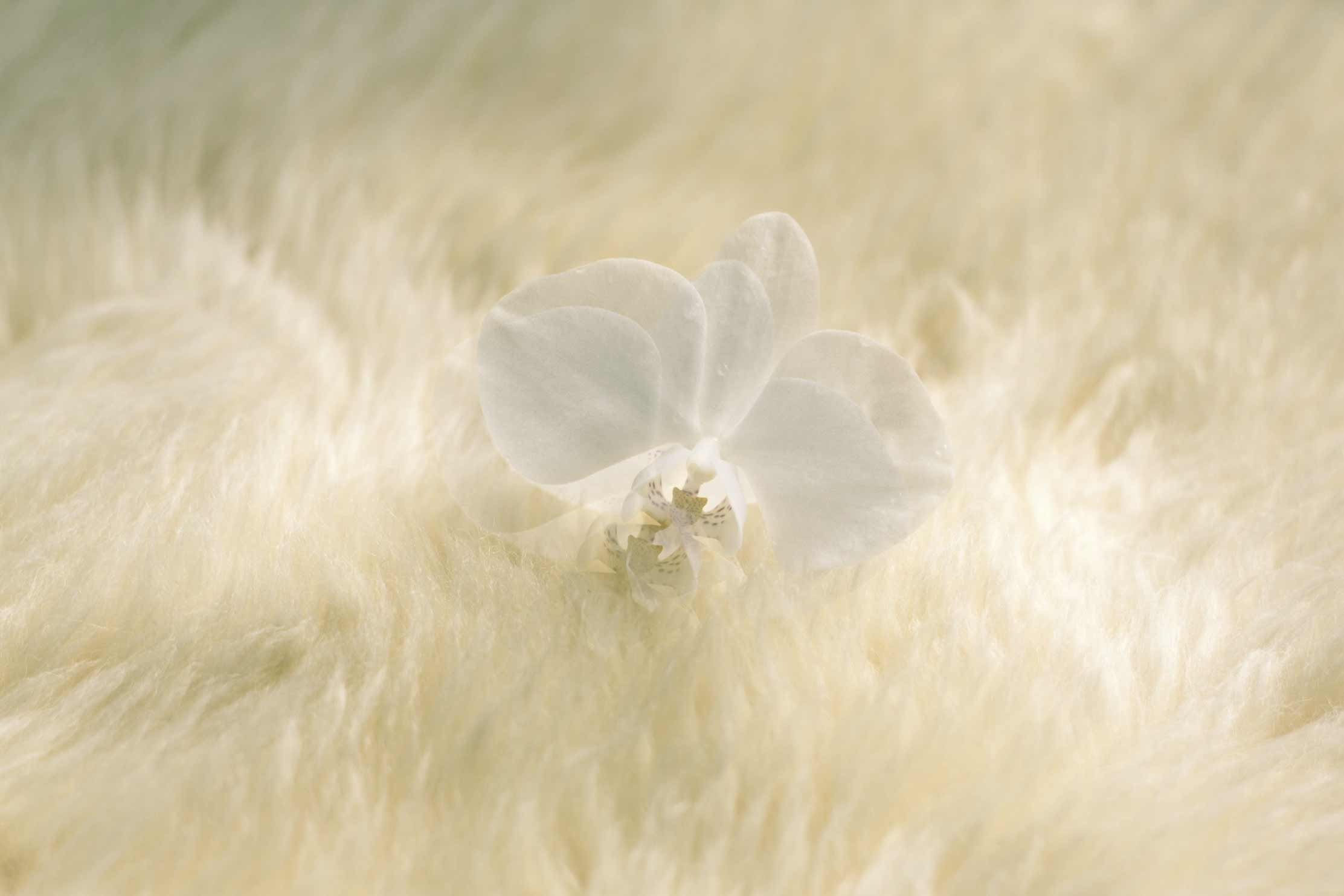 Портреты. Ася Бобрицкая — мультидисциплинарый художник