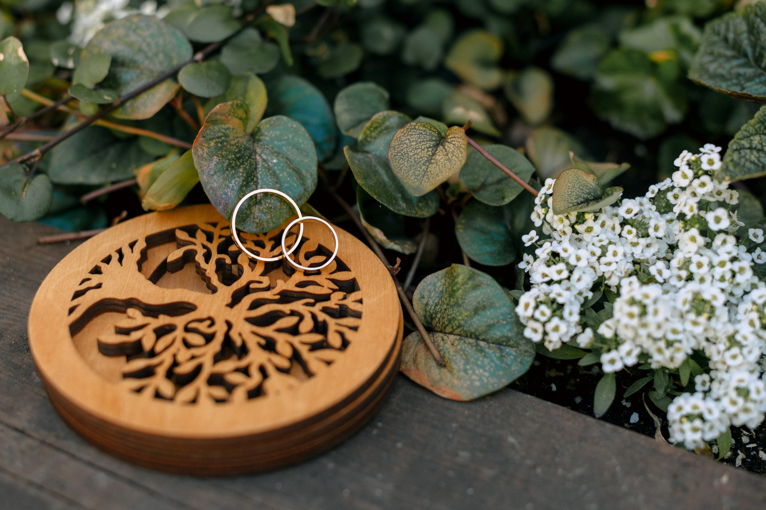 НАДЯ и САША. Шашкова Вероника / Свадебный и семейный фотограф Москва и Ярославль