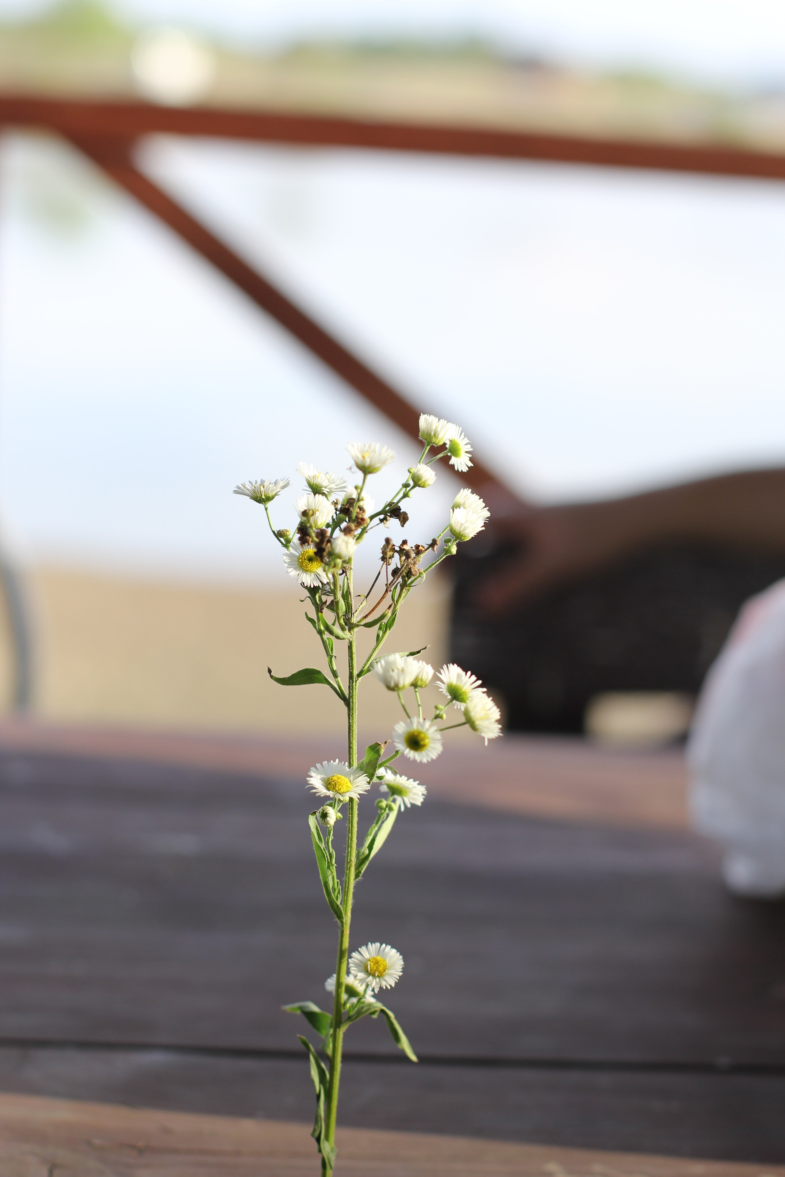 Рыбалка в Горячем Ключе (2024-09-24). Собор Отрасли