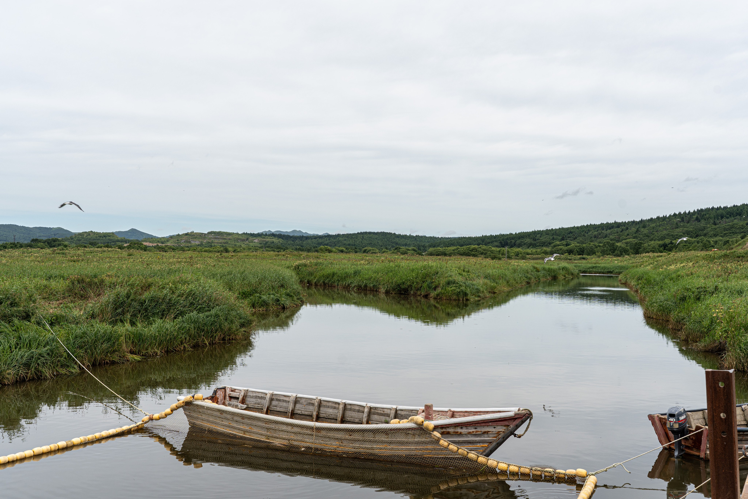 Сахалин 2025. Творческие сьемки