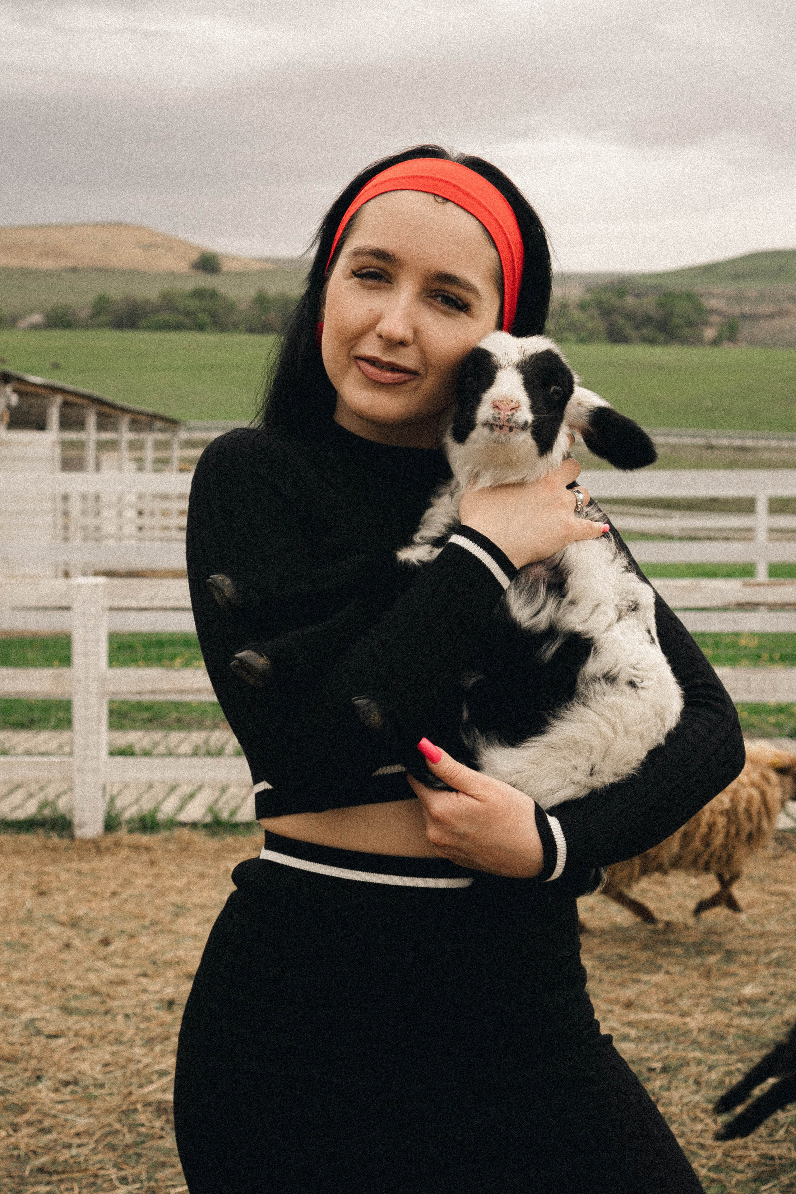 Ферма Альпак. Профессиональный фотограф, Санкт-Петербург — Виктория Богомолова