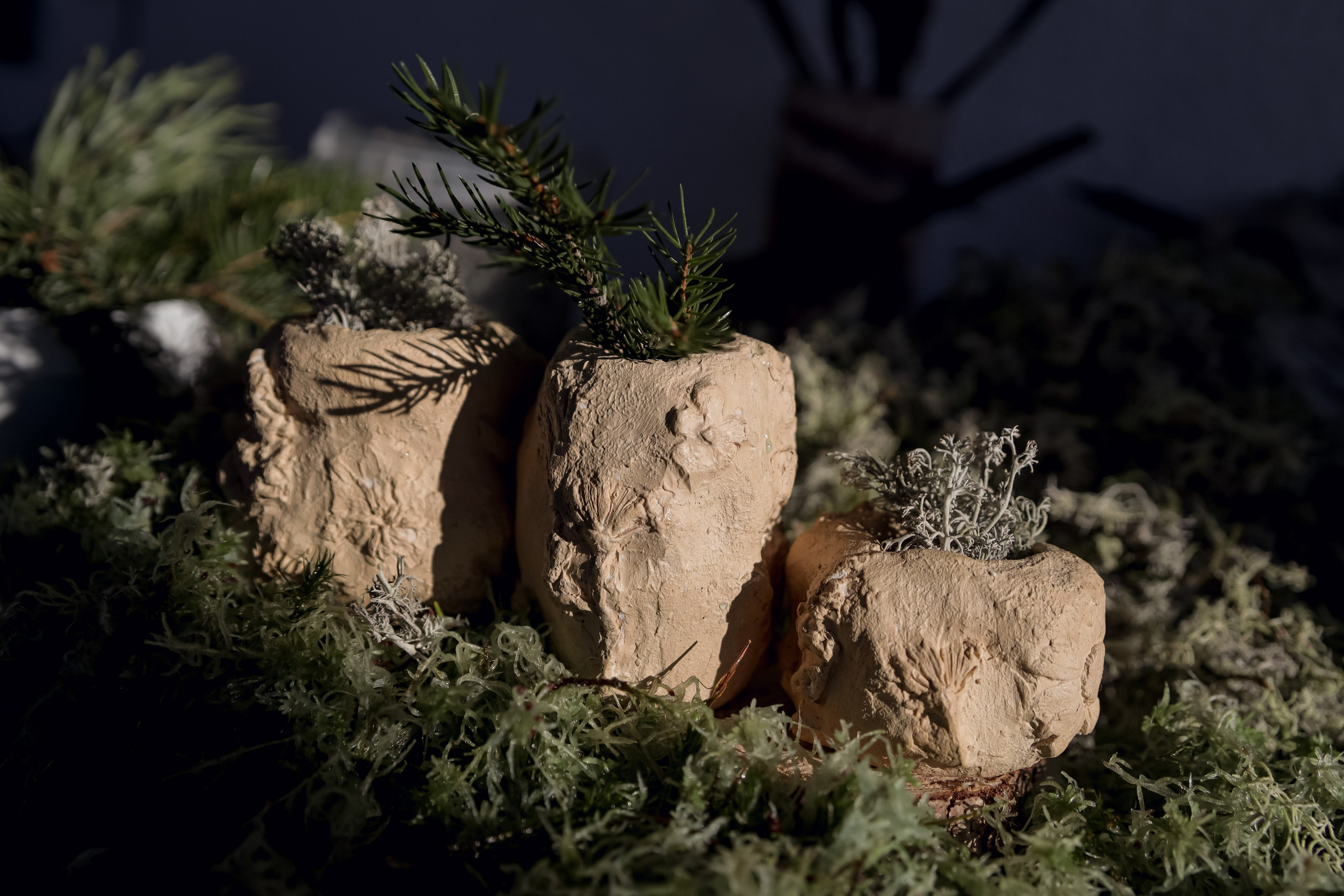 Стаканчики 3 шт. 1800 р. Катя Цвет