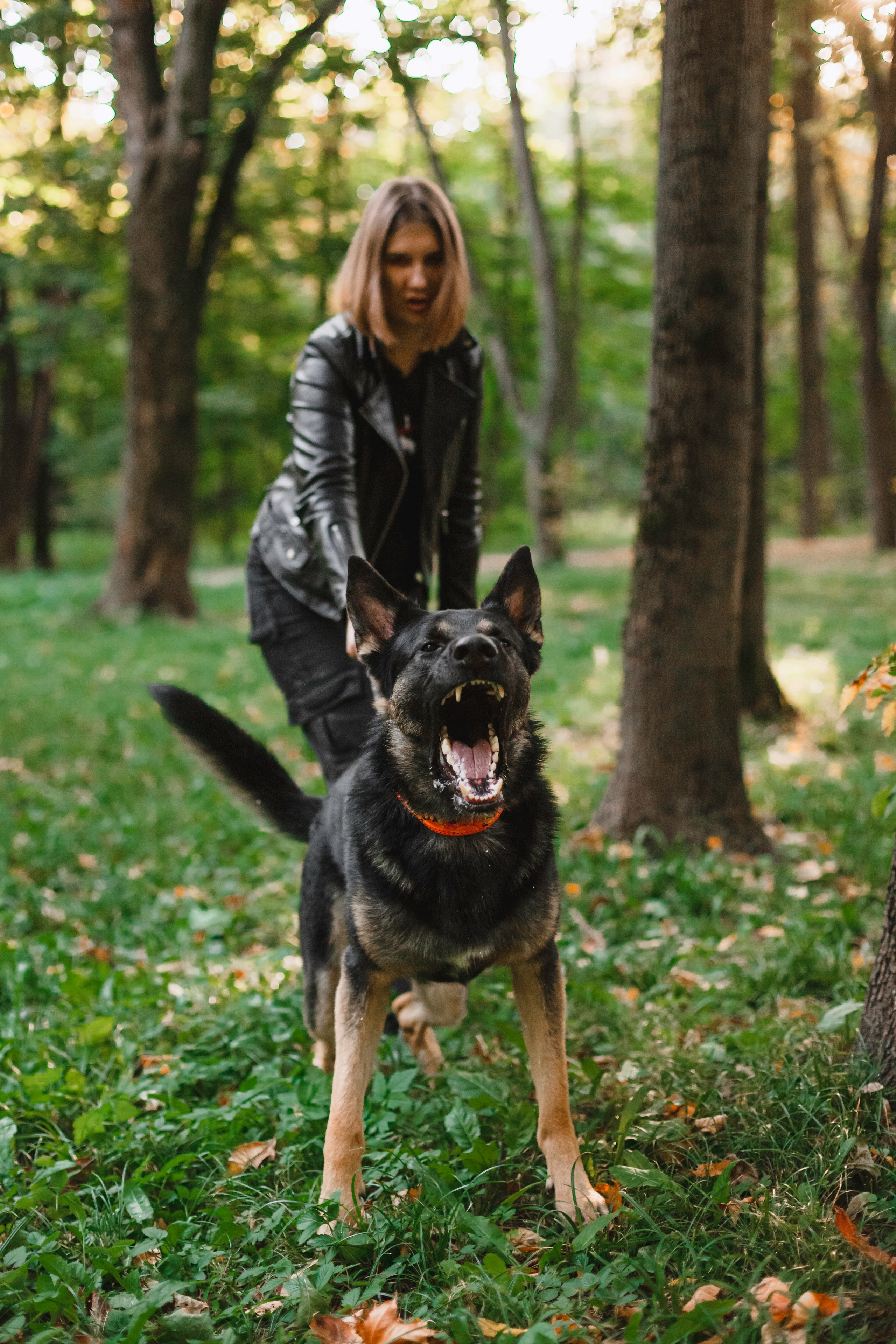 Илай. Фотограф-анималист Татьяна Степанова