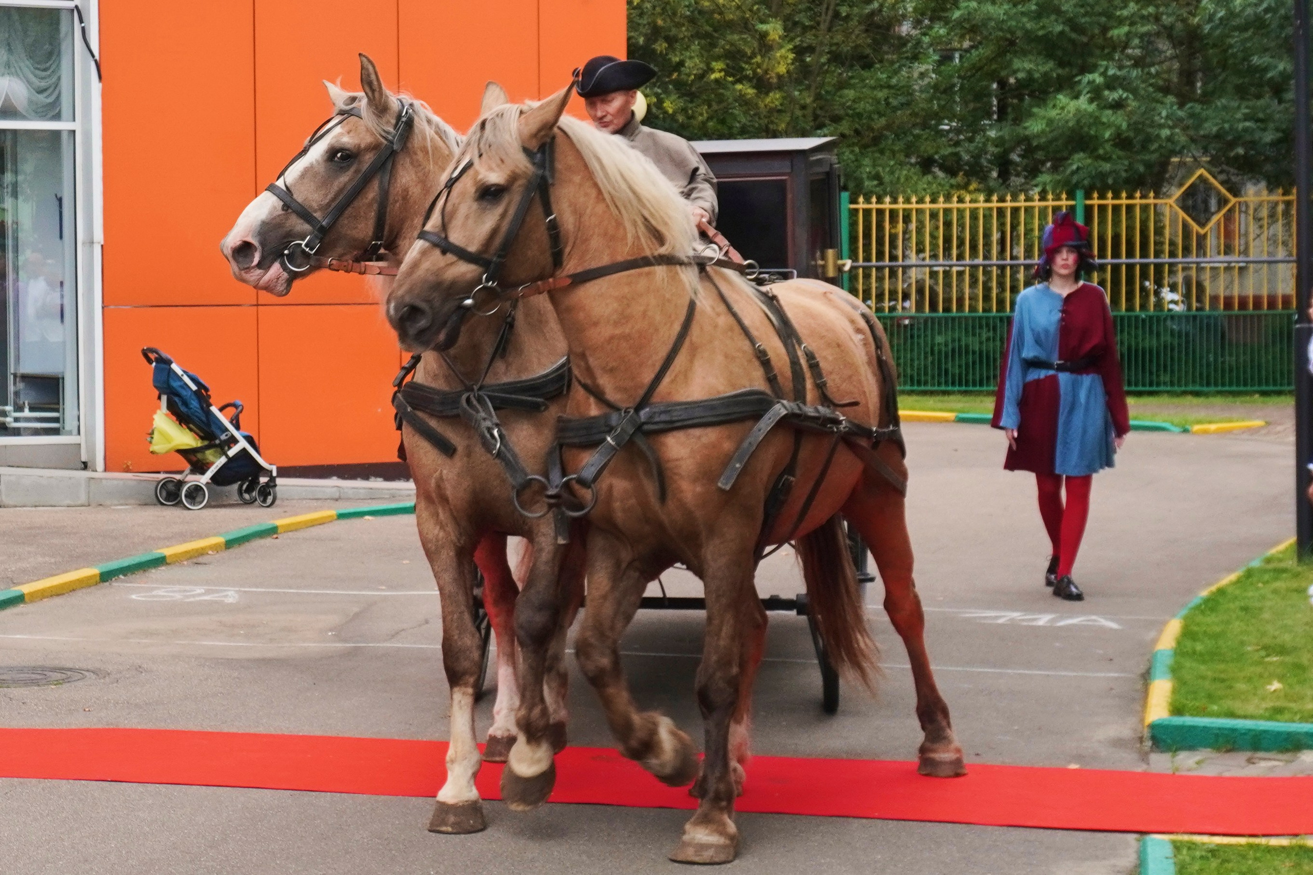 1 сентября. ALIZHURR