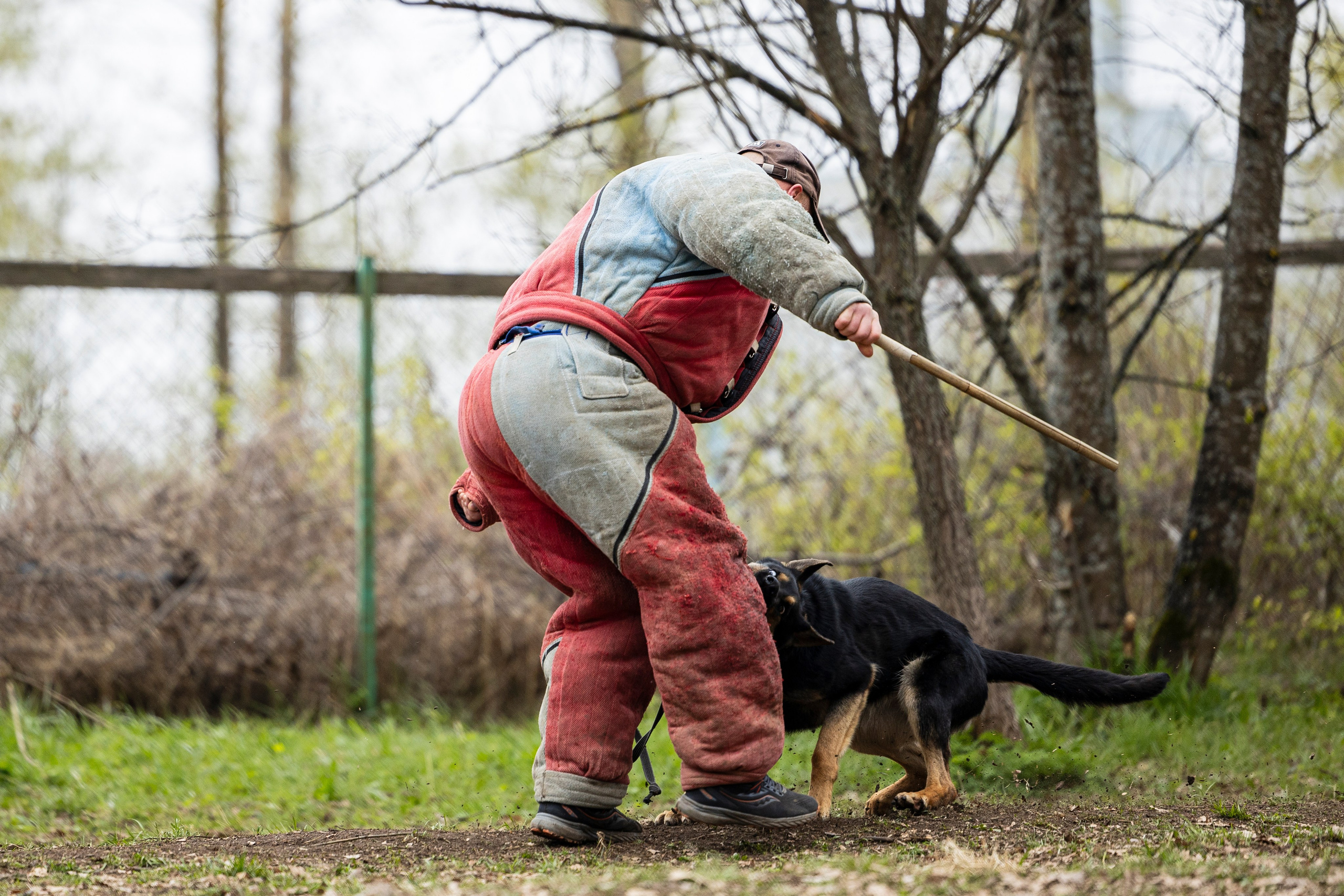 Квалификационные состязания по мондьорингу г. Вологда 11.05.24. Фотограф-анималист Анна Маринич