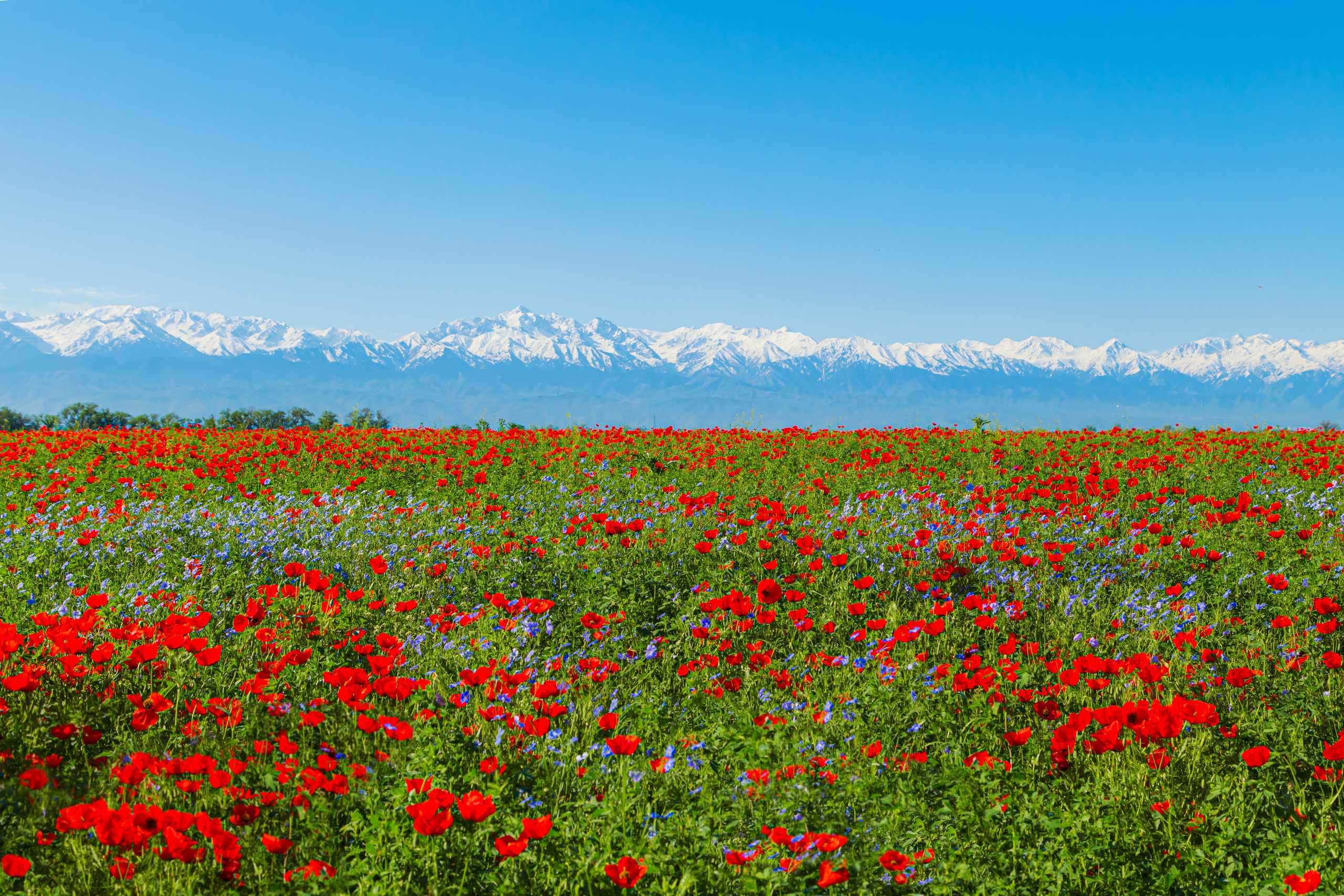 Казахстан. Тревел-фотограф Елизавета Ларионова