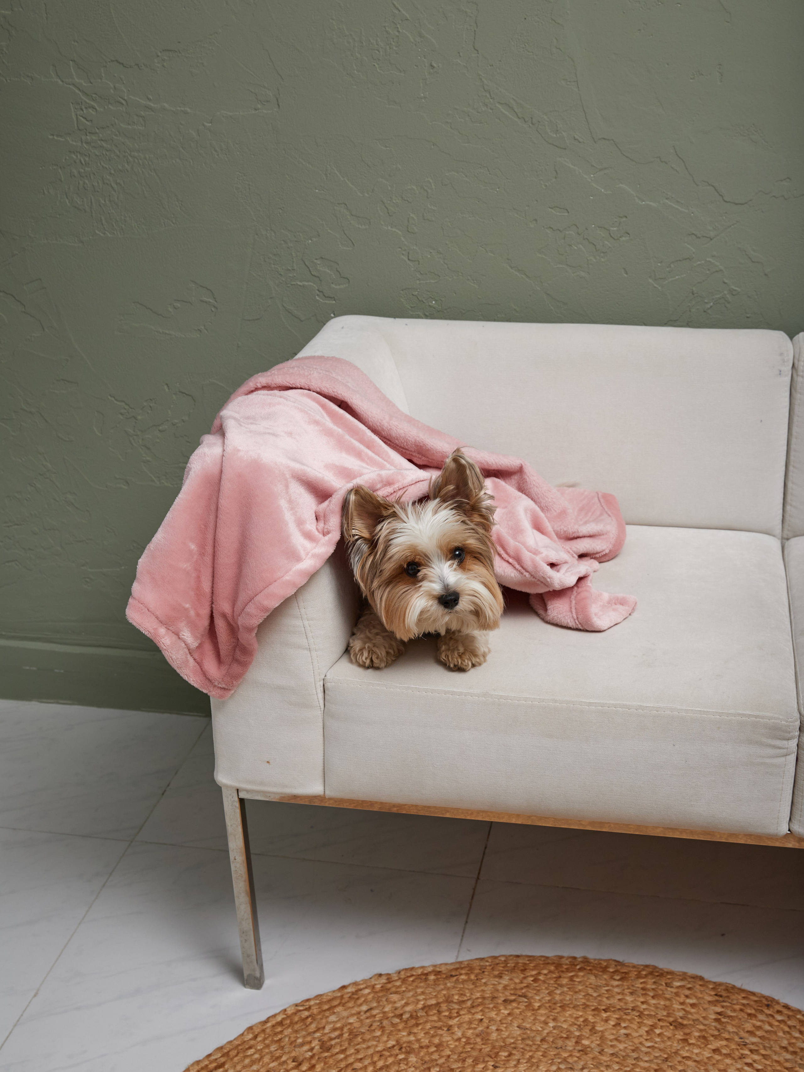 Лежанки. Фотограф