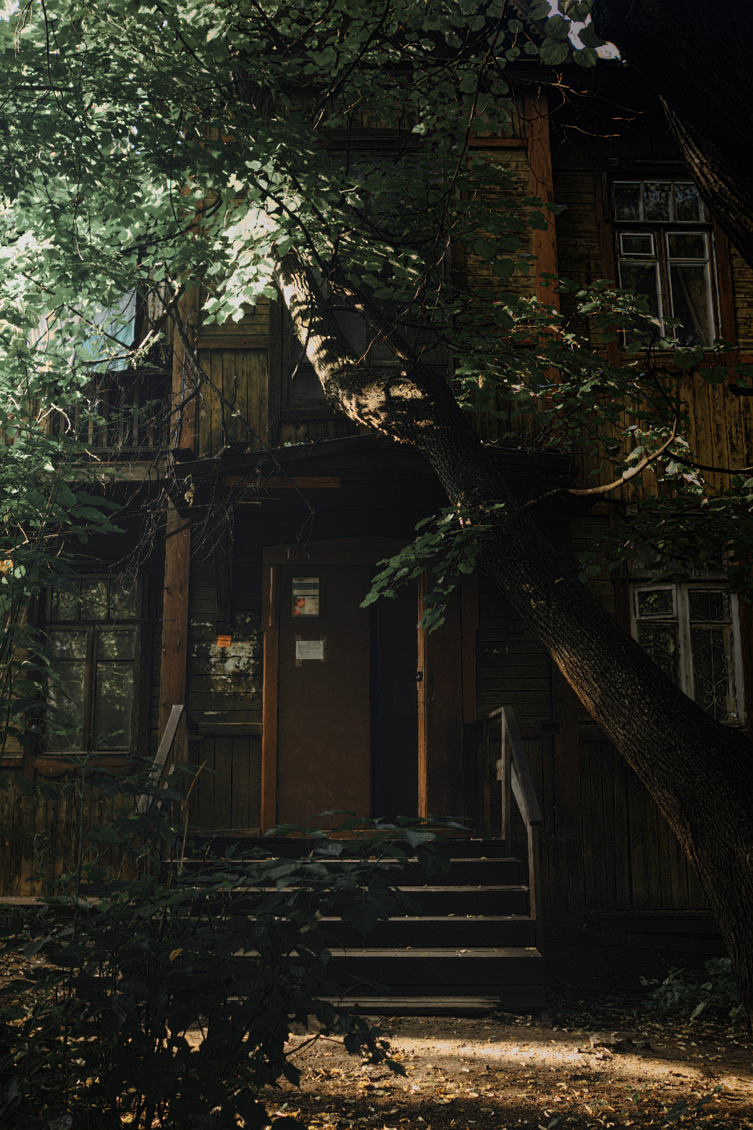 Уличная фотография из Кирова. Фотограф-любитель из Кирова Андрей Погребняк