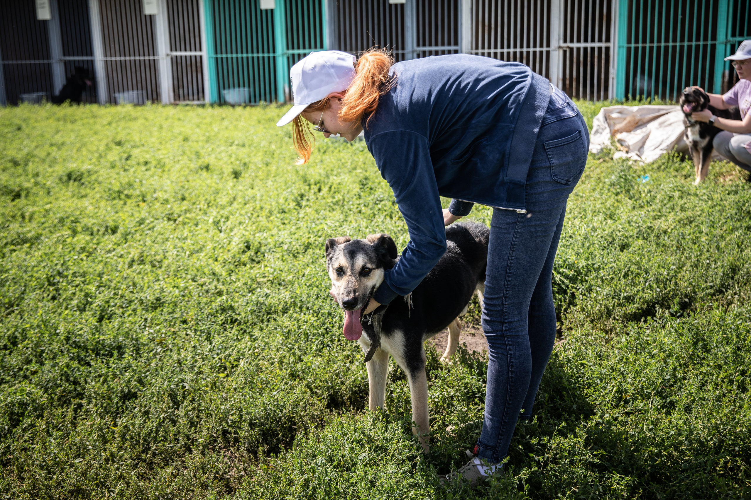 Приют — Наш дом. Репортажный и свадебный фотограф в Челябинске Елисеев Павел