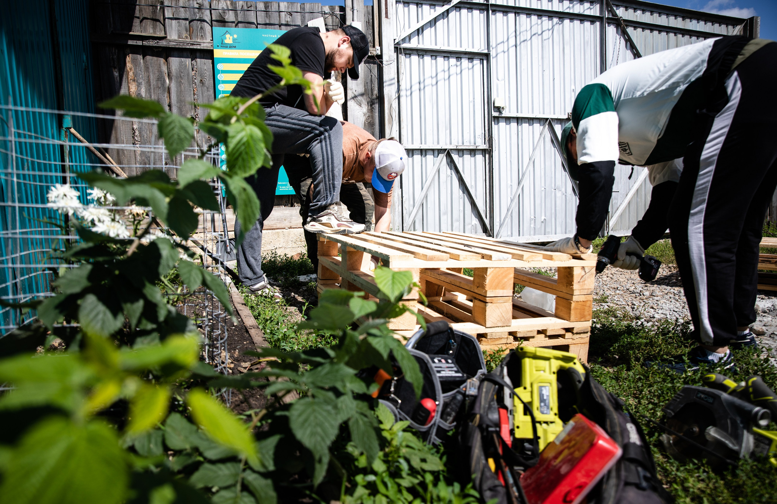 Приют — Наш дом. Репортажный и свадебный фотограф в Челябинске Елисеев Павел