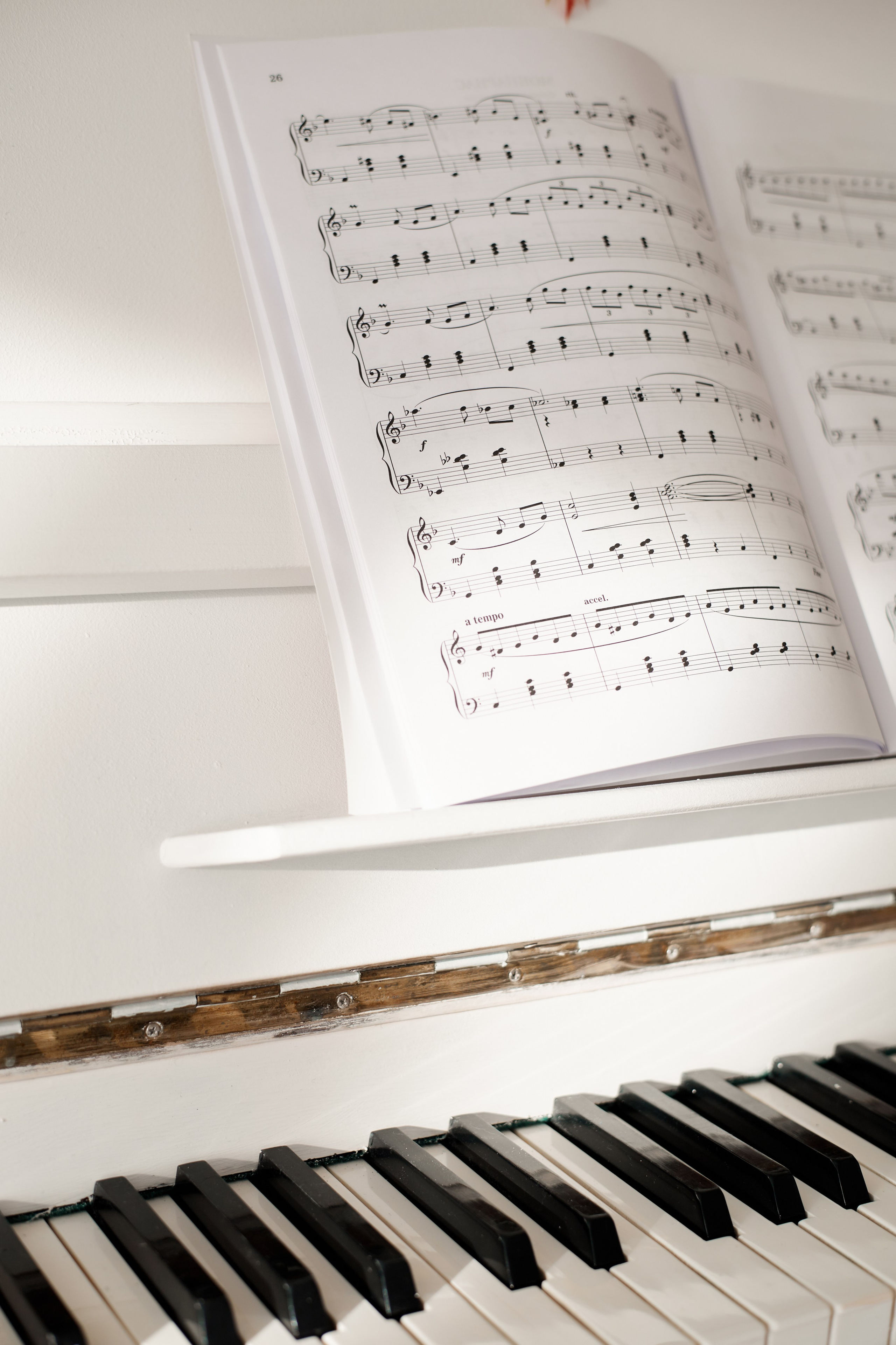 Портфолио. Фотограф Екатерина Рыкина. Фотограф Серебряные Пруды Екатерина Рыкина, детские и семейные фотосъемки, бытовой жанр