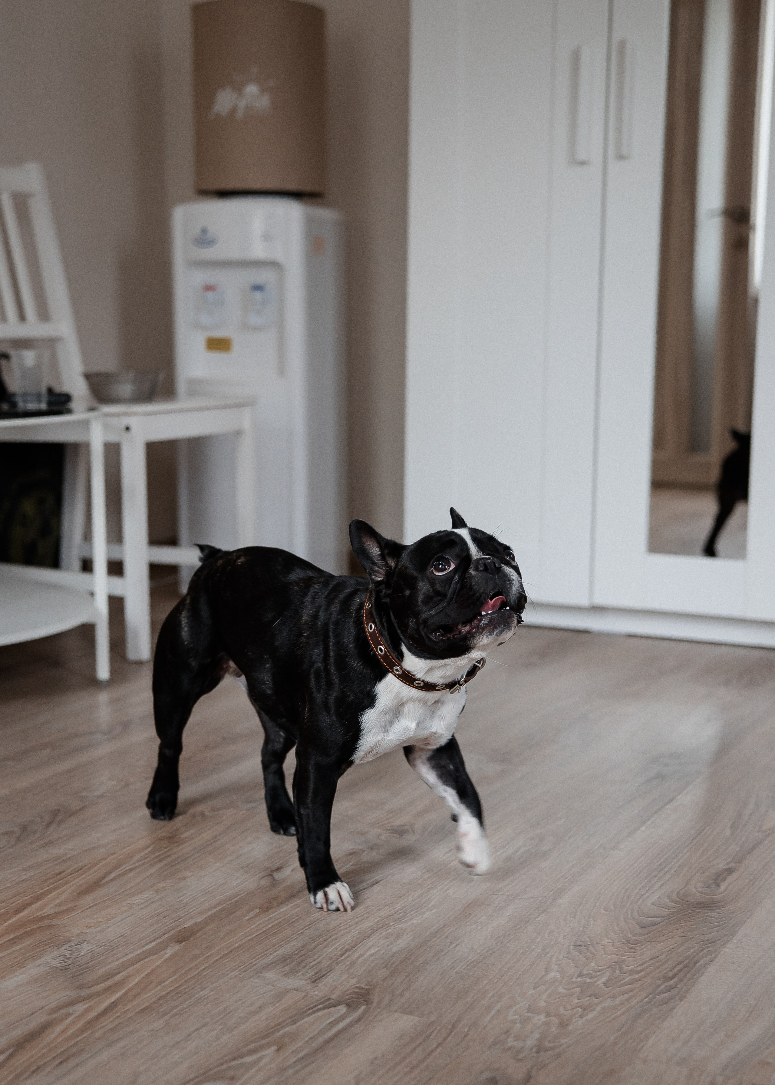 Алина + Паша. Свадебный и семейный фотограф в Саратове Маша Паника