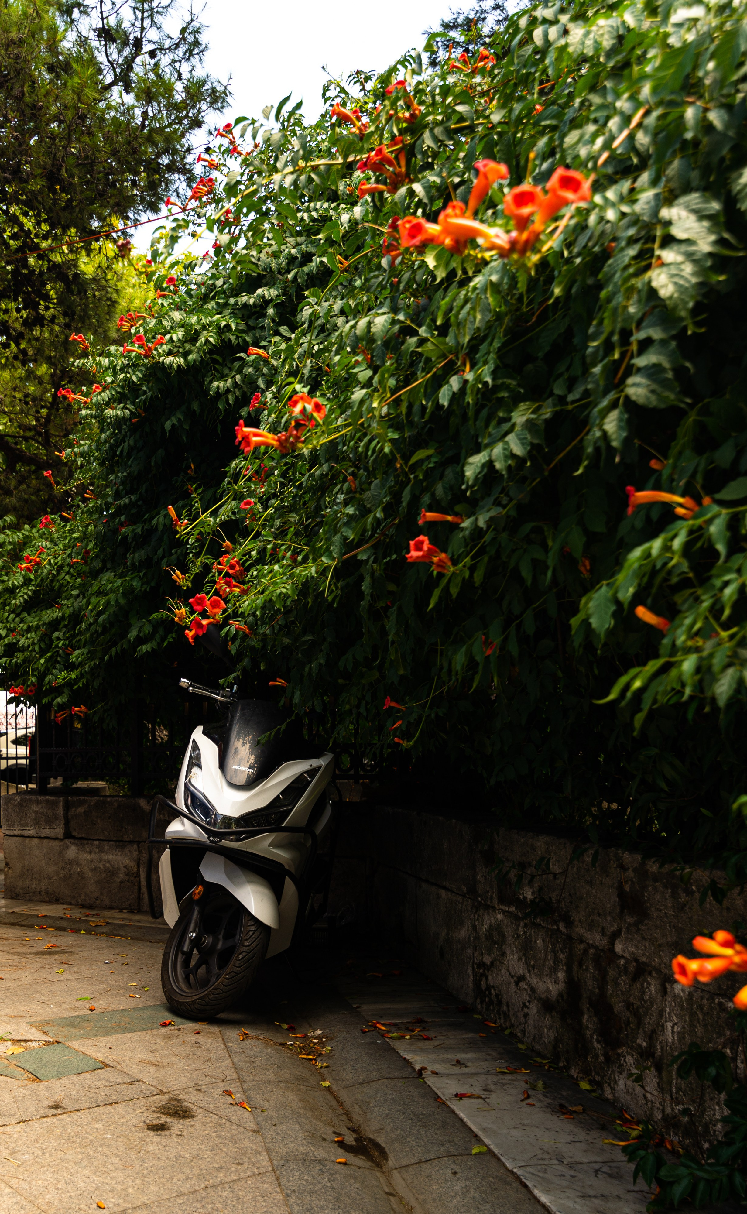 Пейзажи и архитектура. Коммерческий фотограф в Москве Садовников Алексей