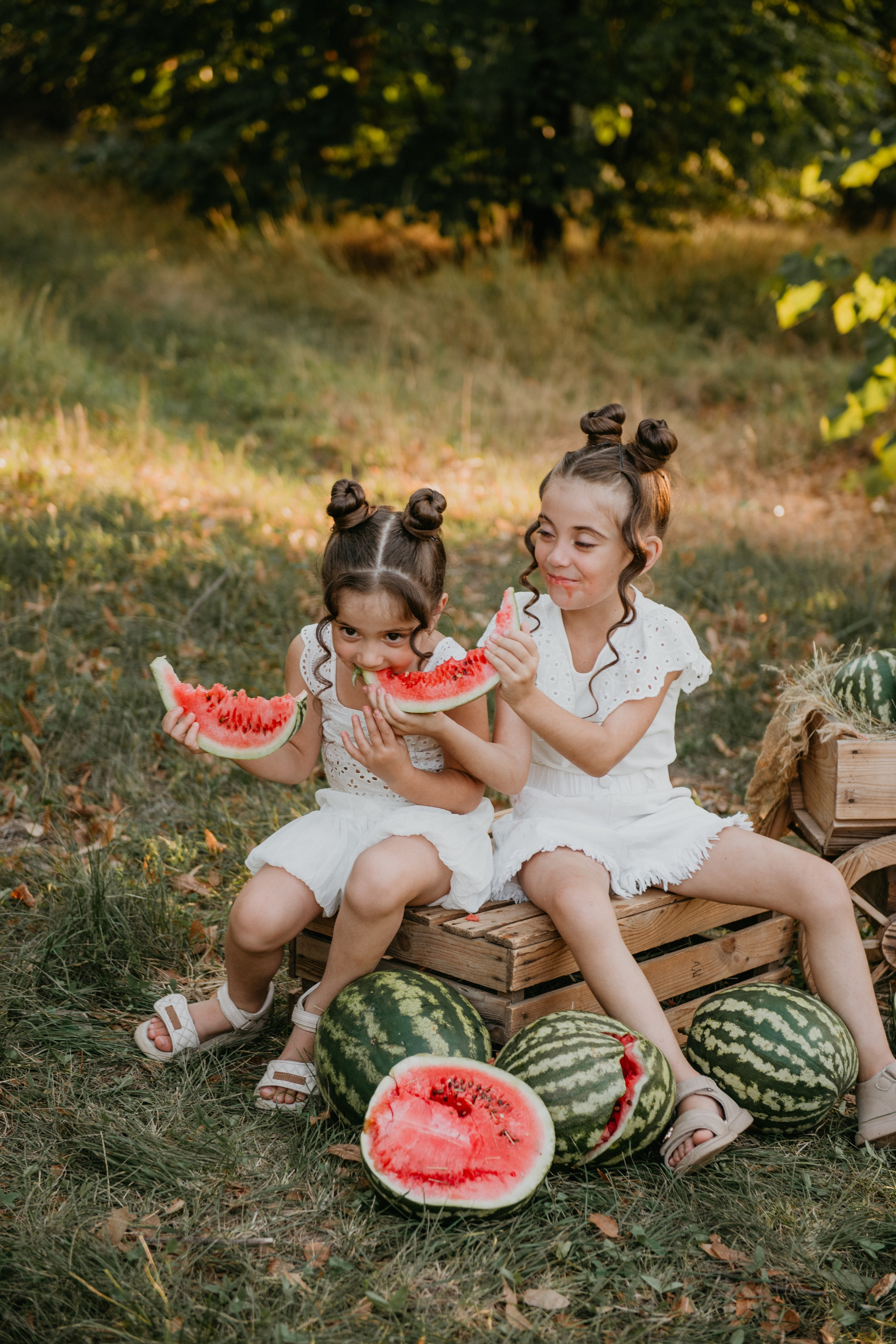 Арбузики. Детский и семейный фотограф в Армавире Даша Зубкова