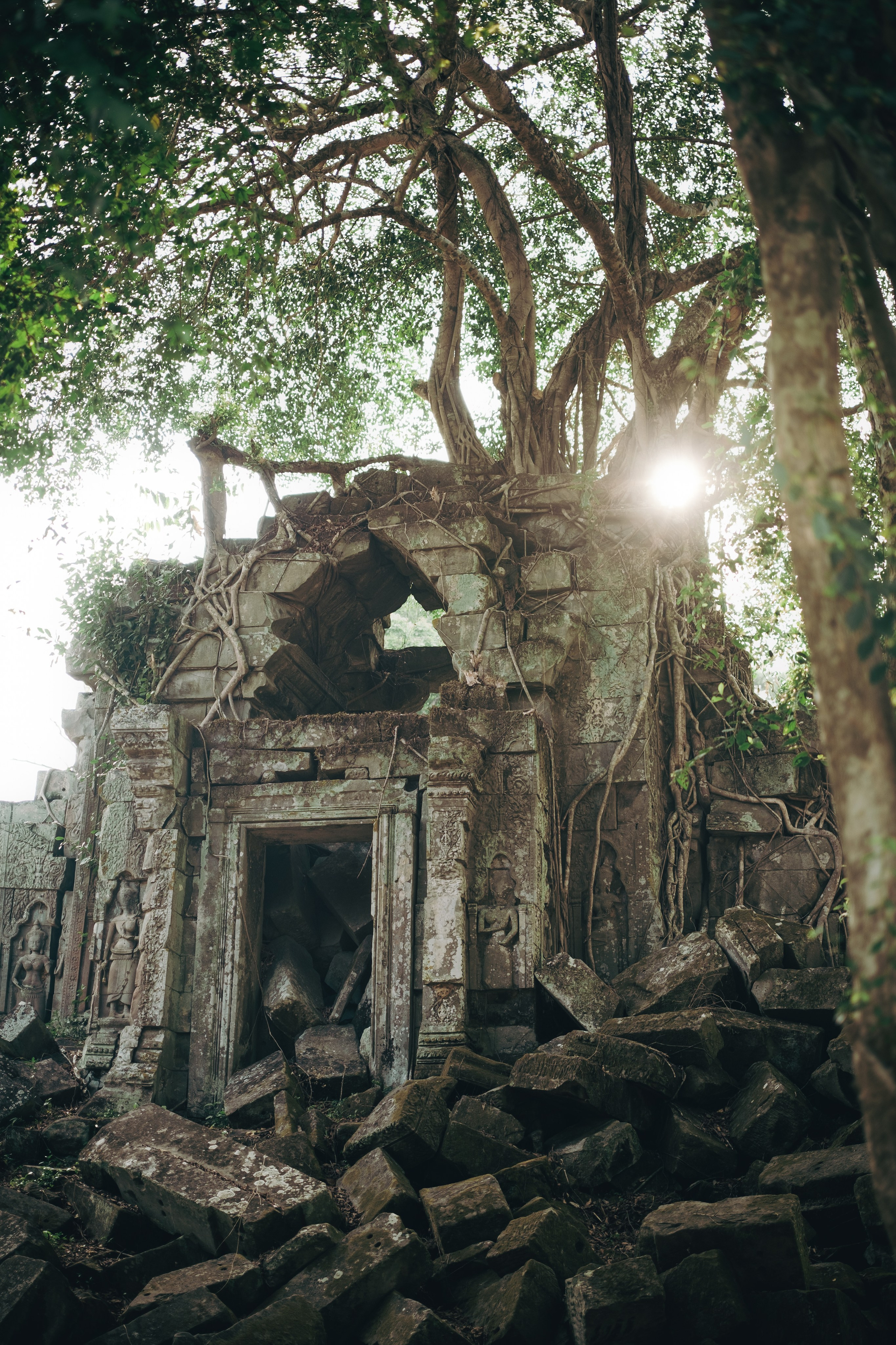 Cambodia. Dmitry Ippolitov