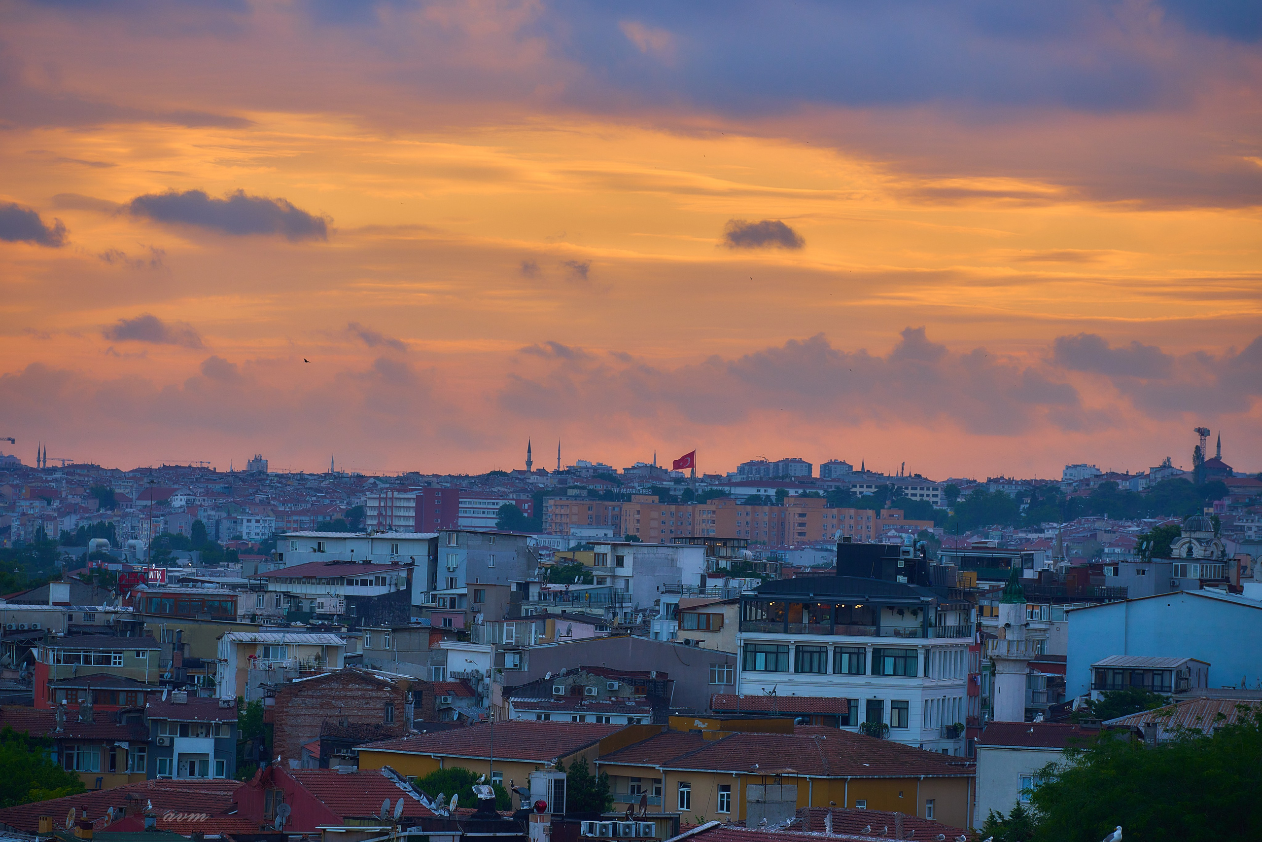 Стамбул 2023. Фотограф Михеев Андрей