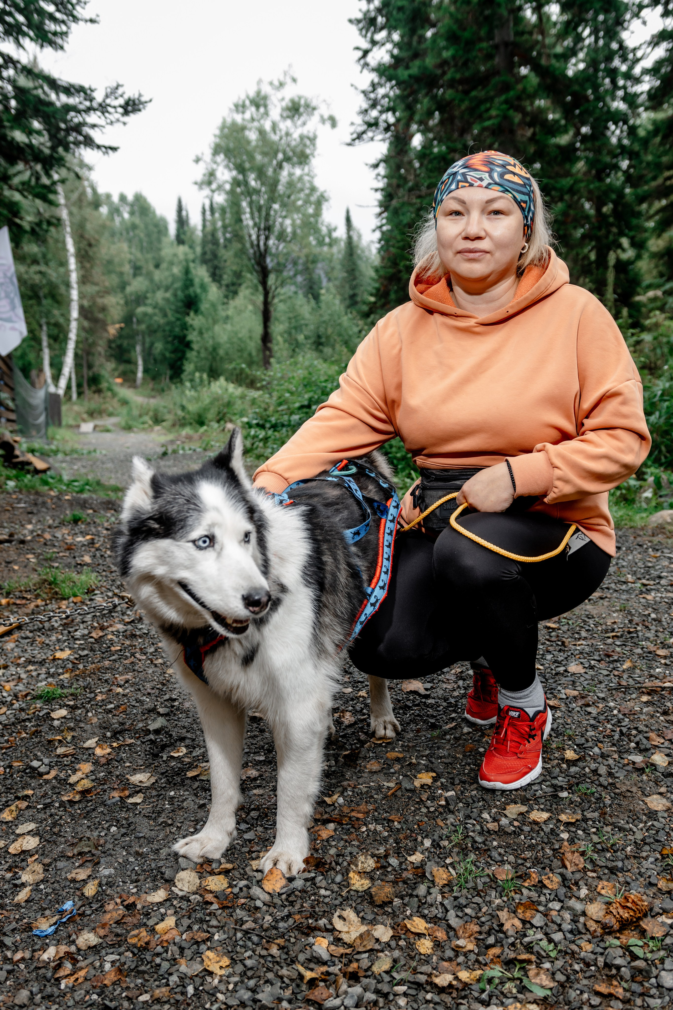 Дог-треккинг