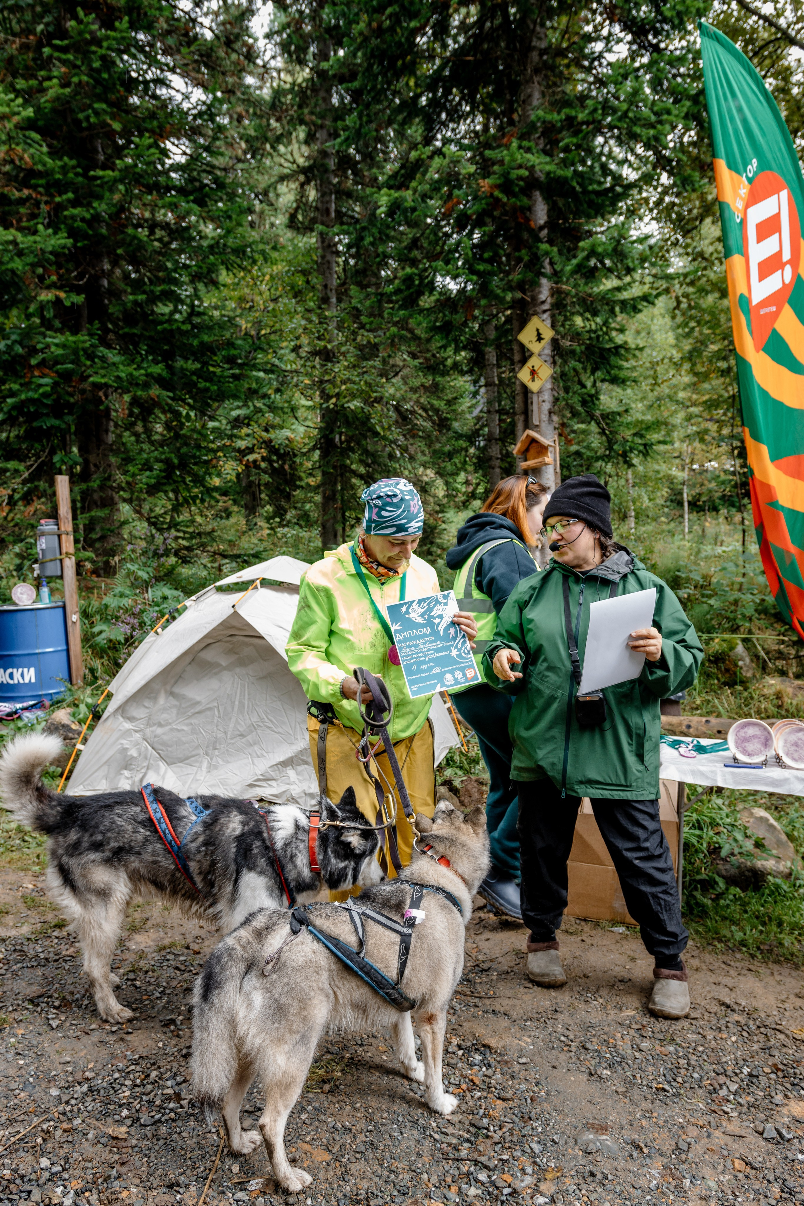 Дог-треккинг