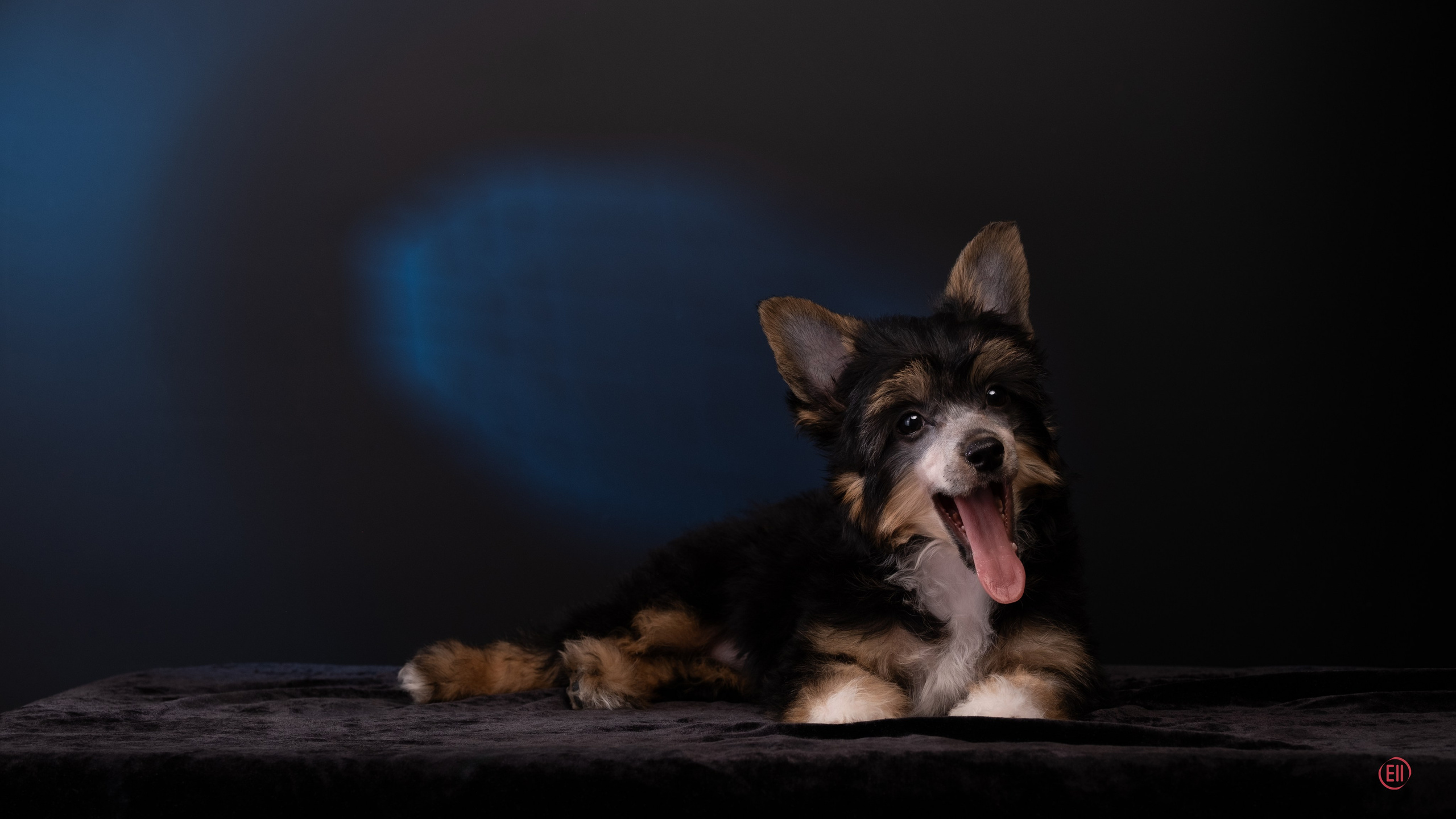 07.06.2025 Синяя фотосессия. Фотограф в Москве