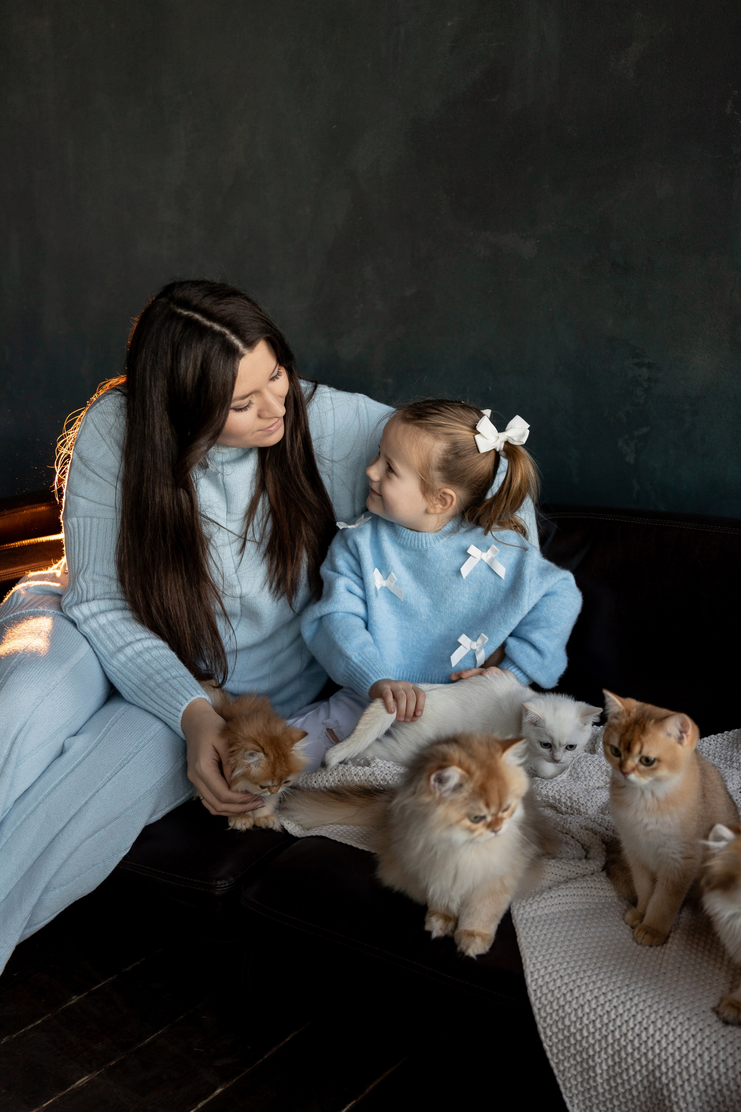 Фотосессия с котятами. Семейный и свадебный фотограф в Санкт-Петербурге Татьяна Швыкова