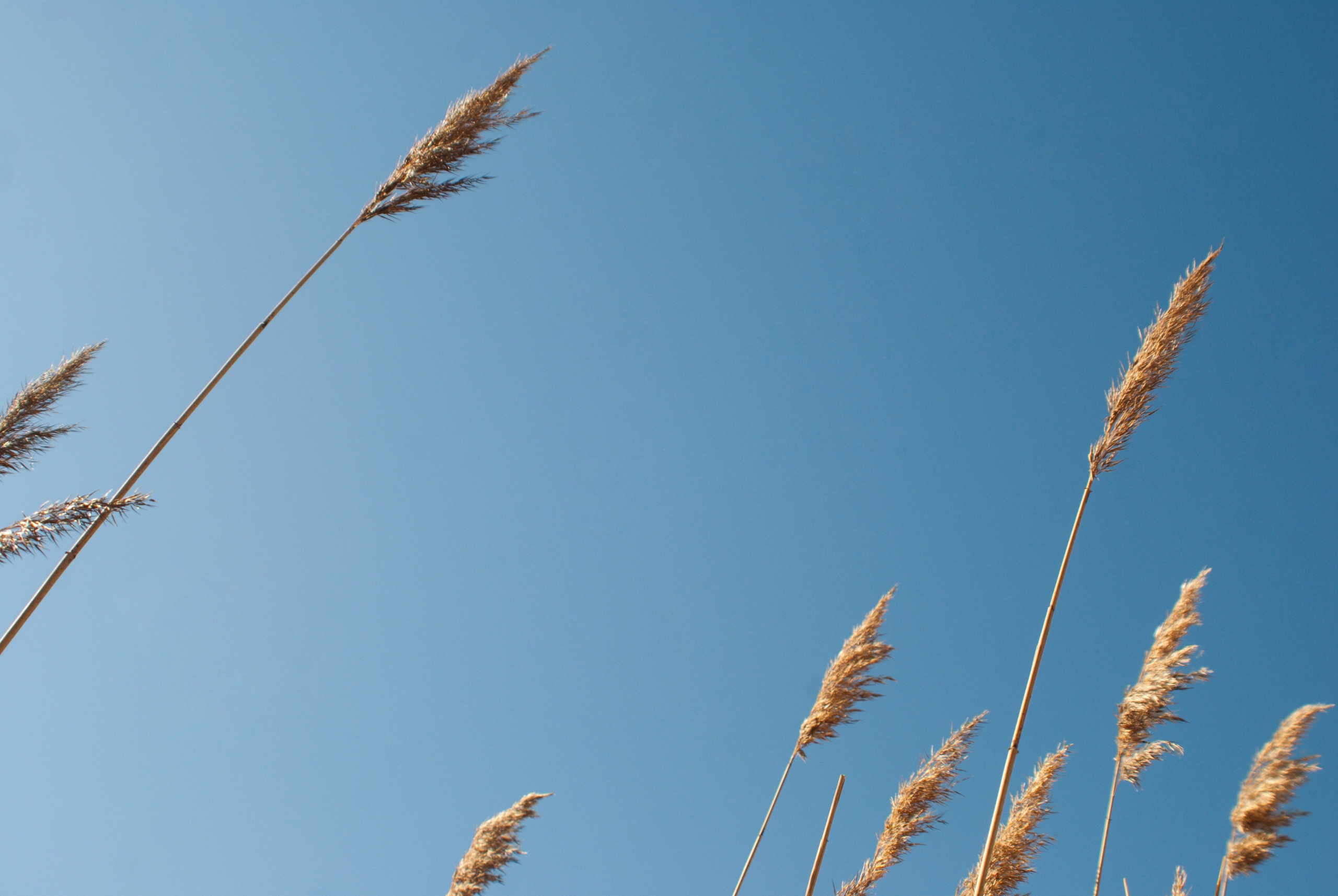 Этот прекрасный мир